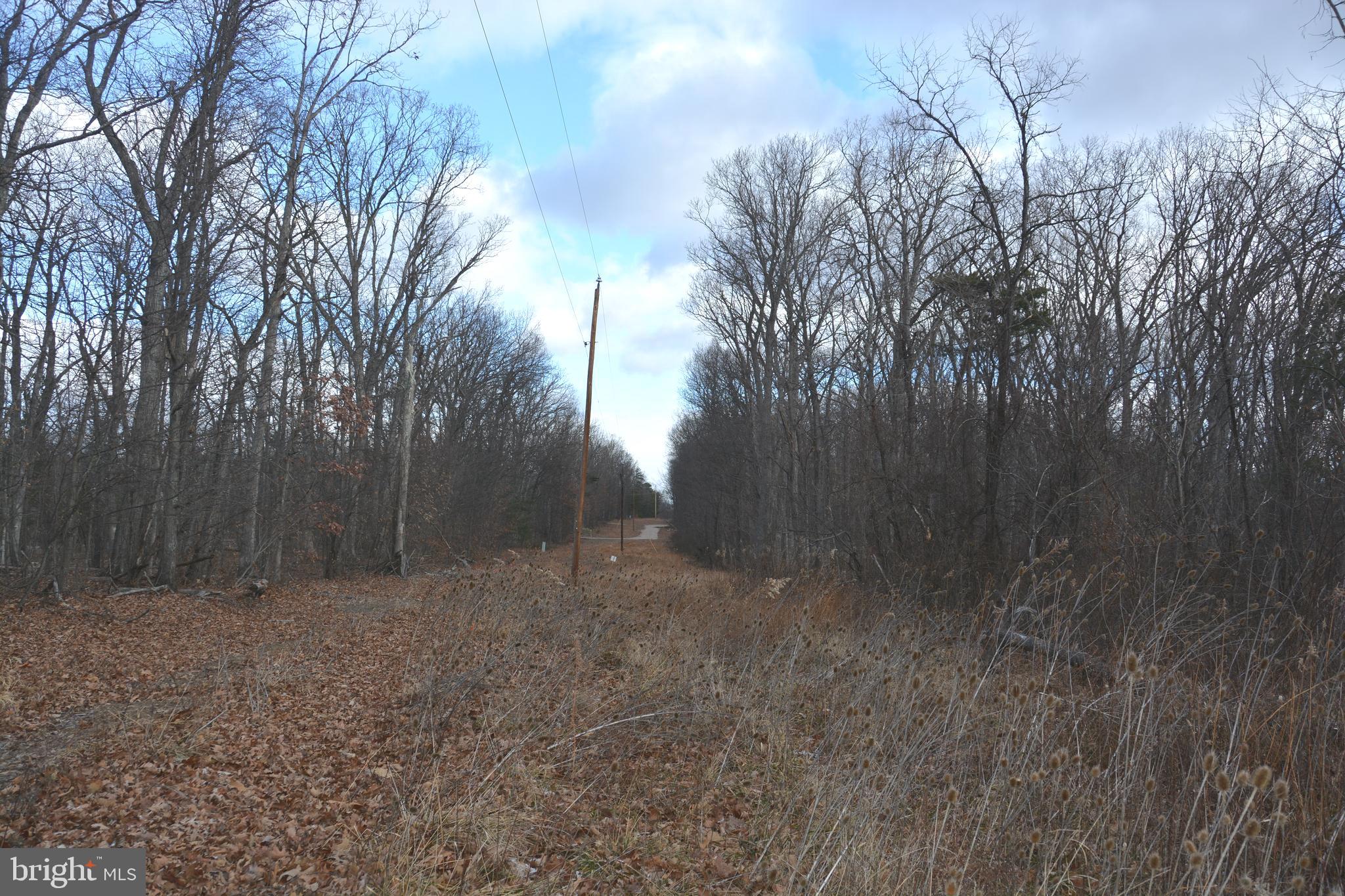 N TIMBER RIDGE RD LOT 1 (54)