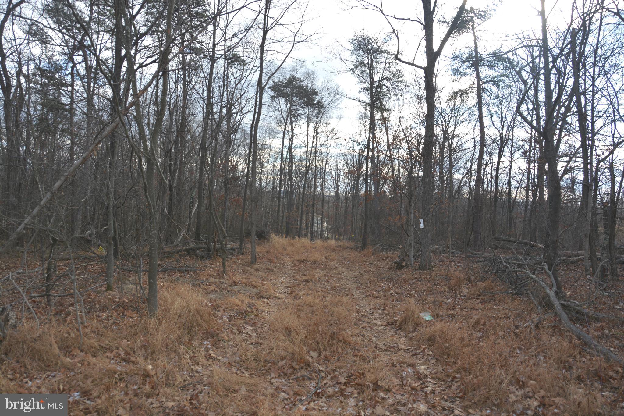 N TIMBER RIDGE RD LOT 1 (54)