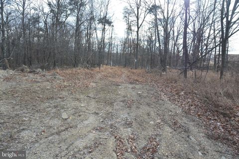 Vacant Land For Sale - N Timber Ridge Rd #LOT 1 54<br/> CROSS JUNCTION, VA 22625