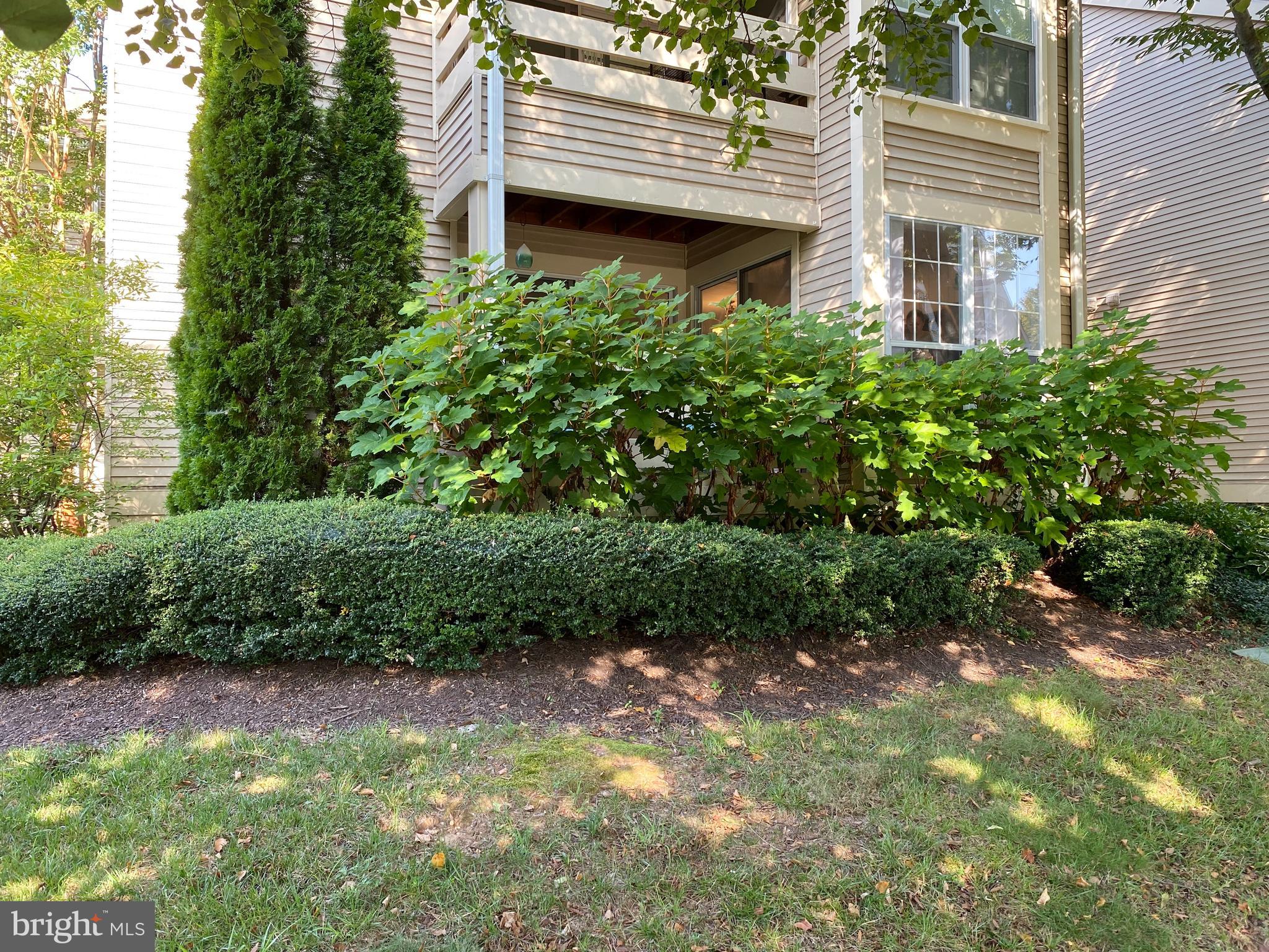 CARR AT PINECREST - Residential