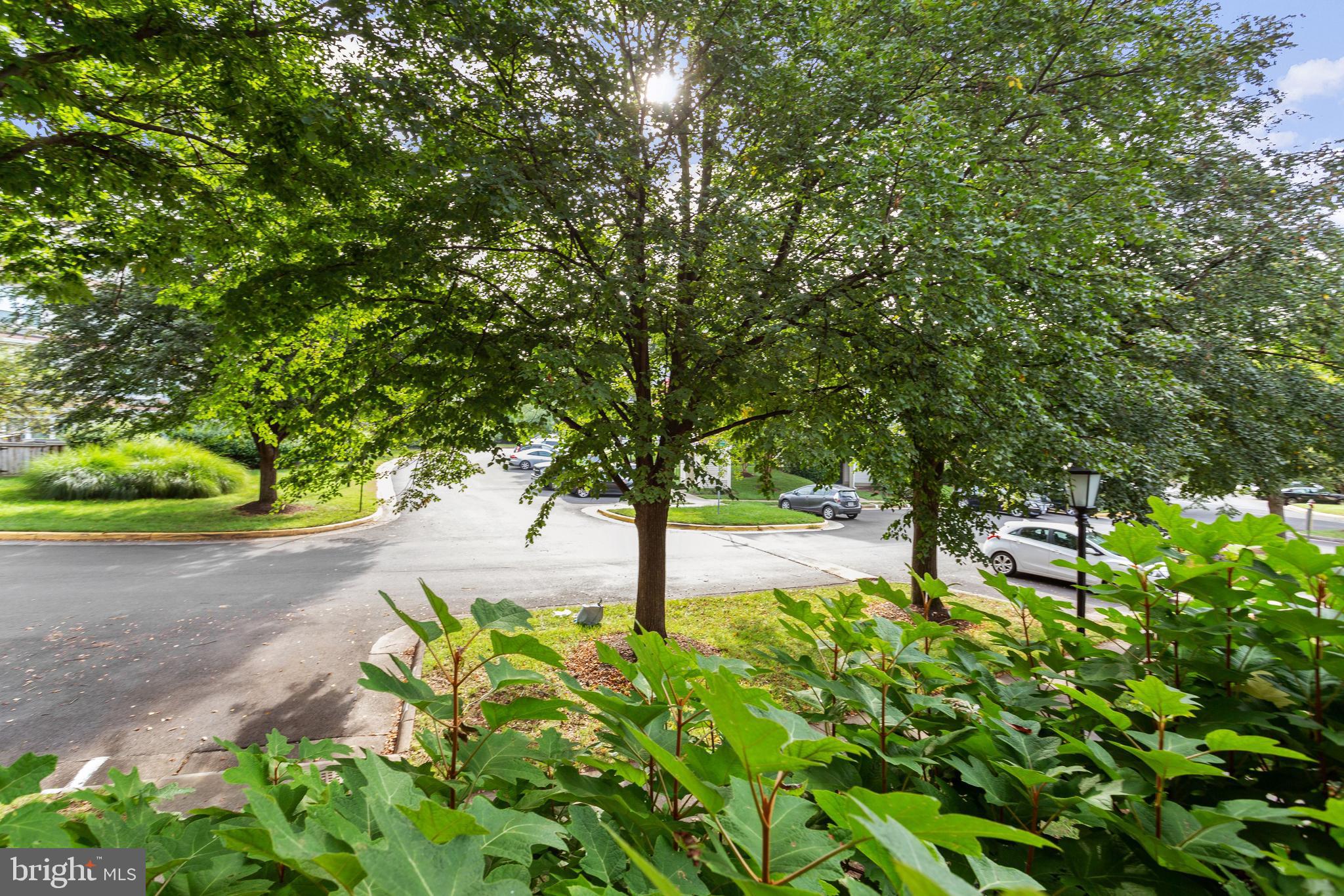 CARR AT PINECREST - Residential