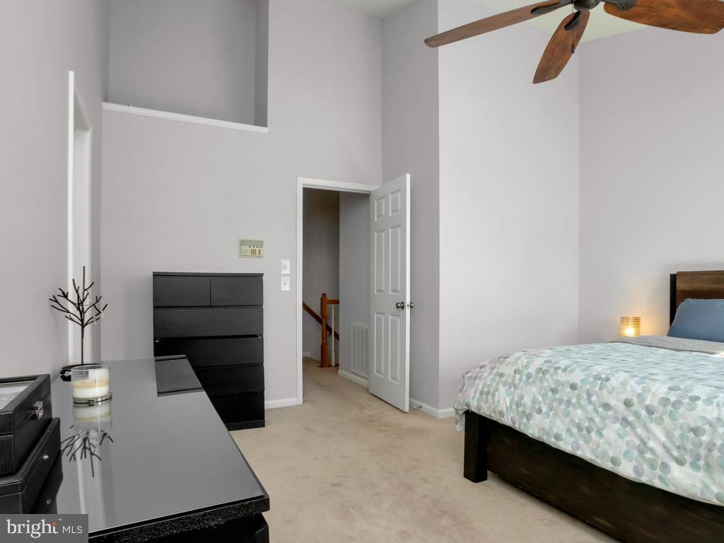 BELMONT GREENE - Residential