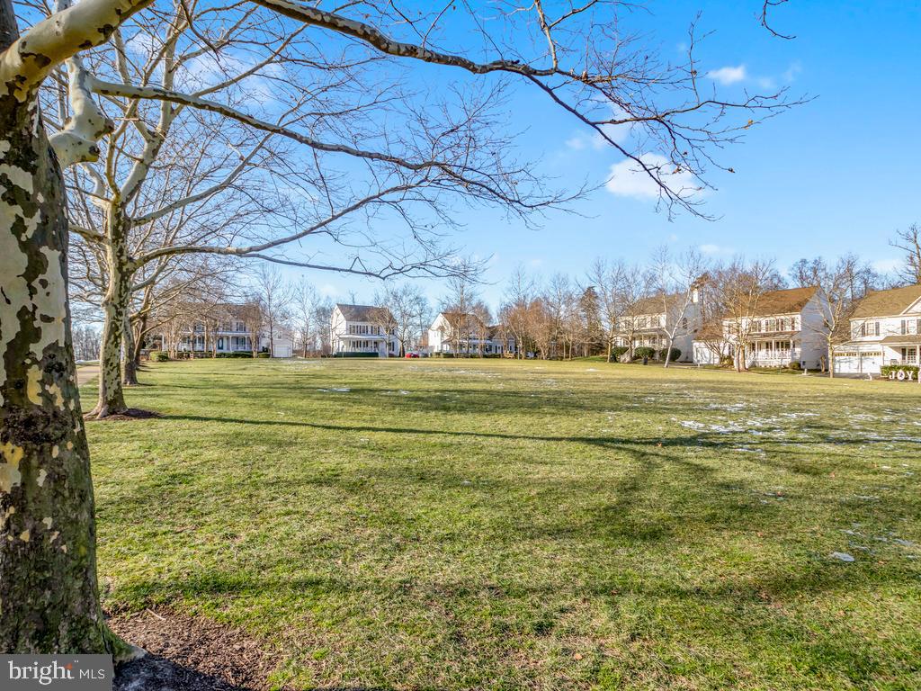 BELMONT GREENE - Residential