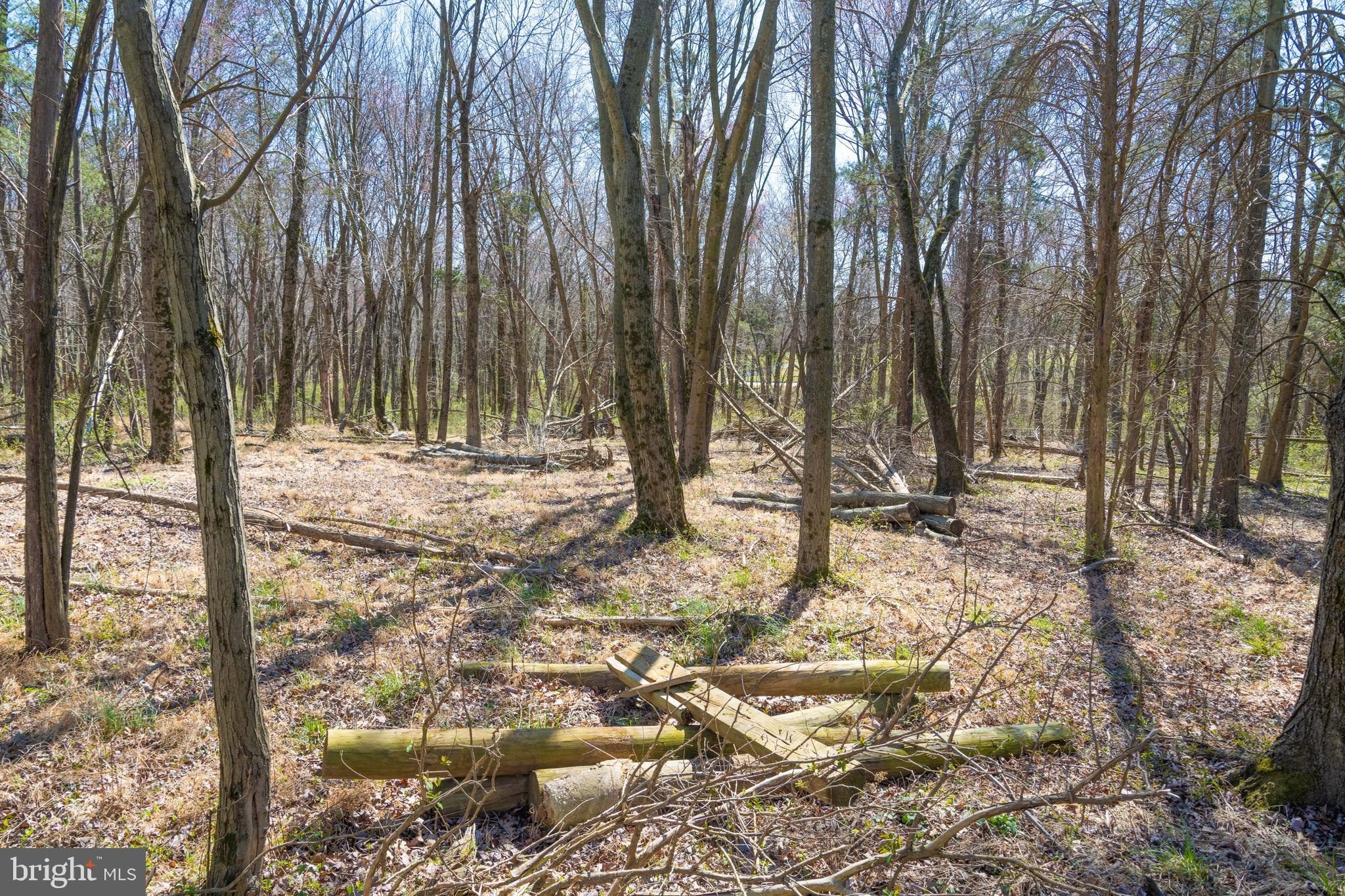 BEALLSVILLE - Farm