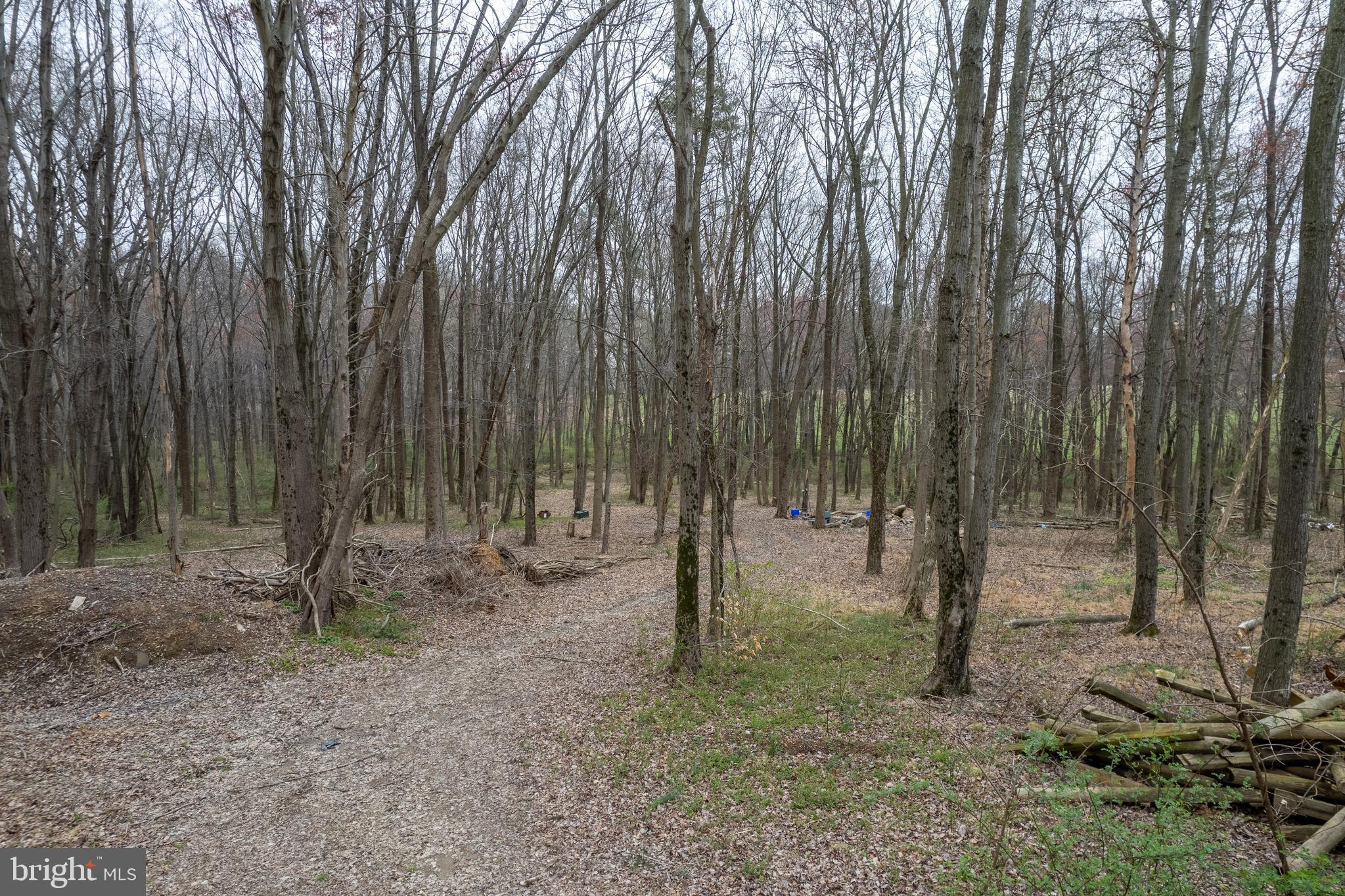 BEALLSVILLE - Farm