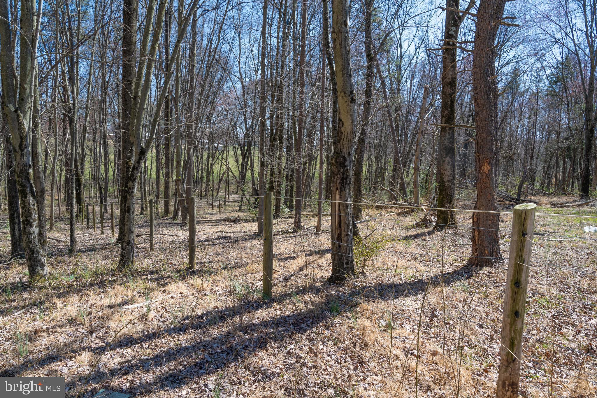 BEALLSVILLE - Farm