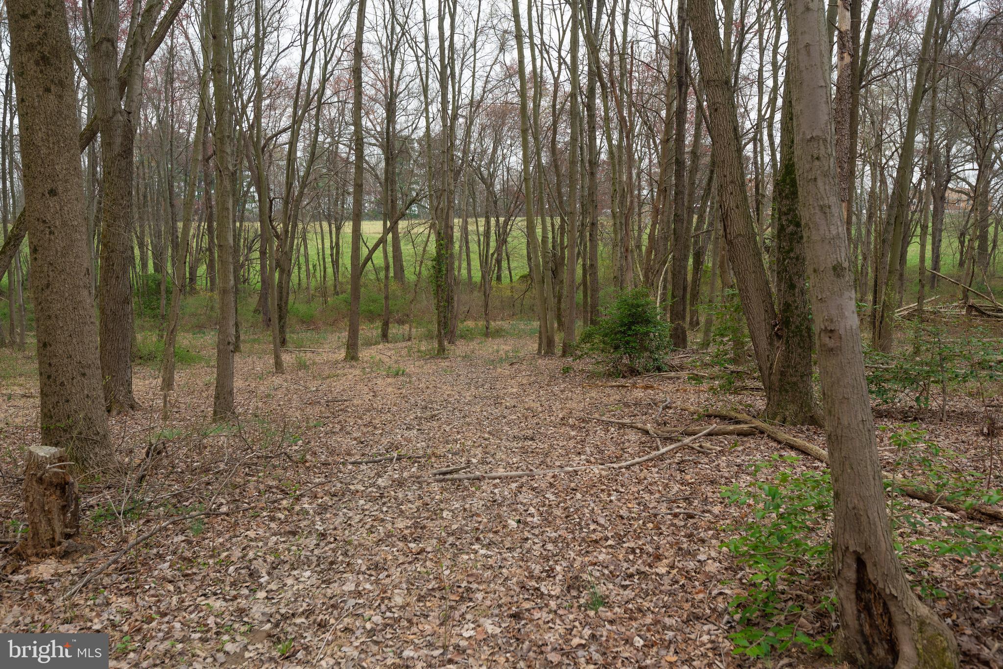 BEALLSVILLE - Farm