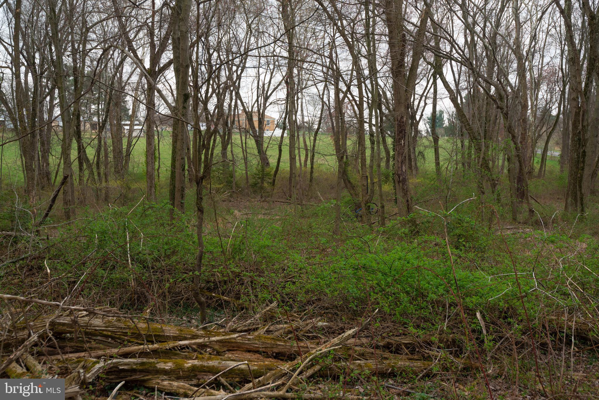 BEALLSVILLE - Farm