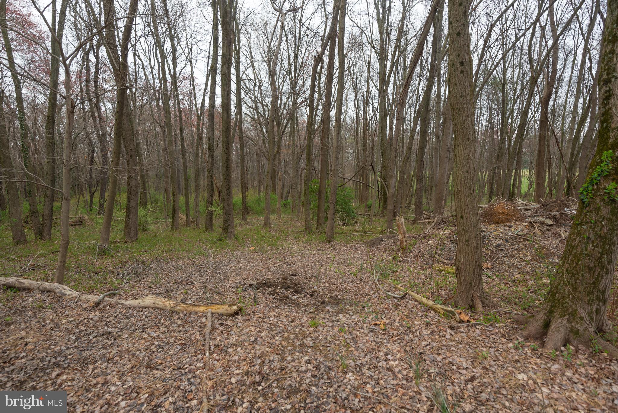 BEALLSVILLE - Farm
