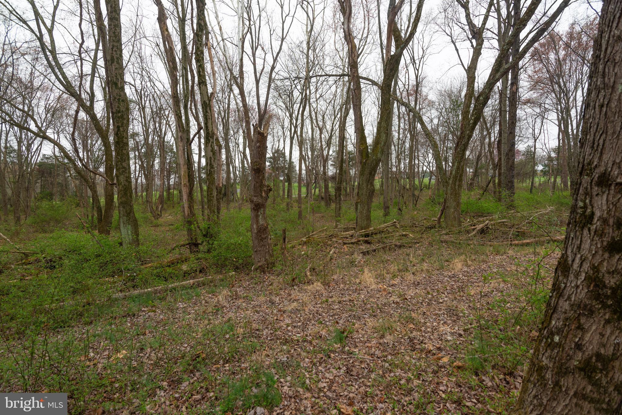BEALLSVILLE - Farm