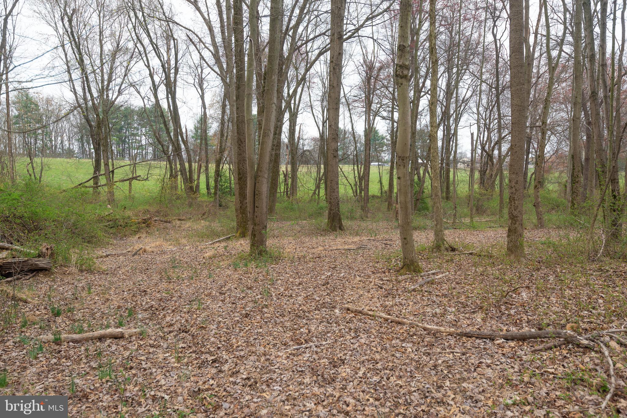 BEALLSVILLE - Farm