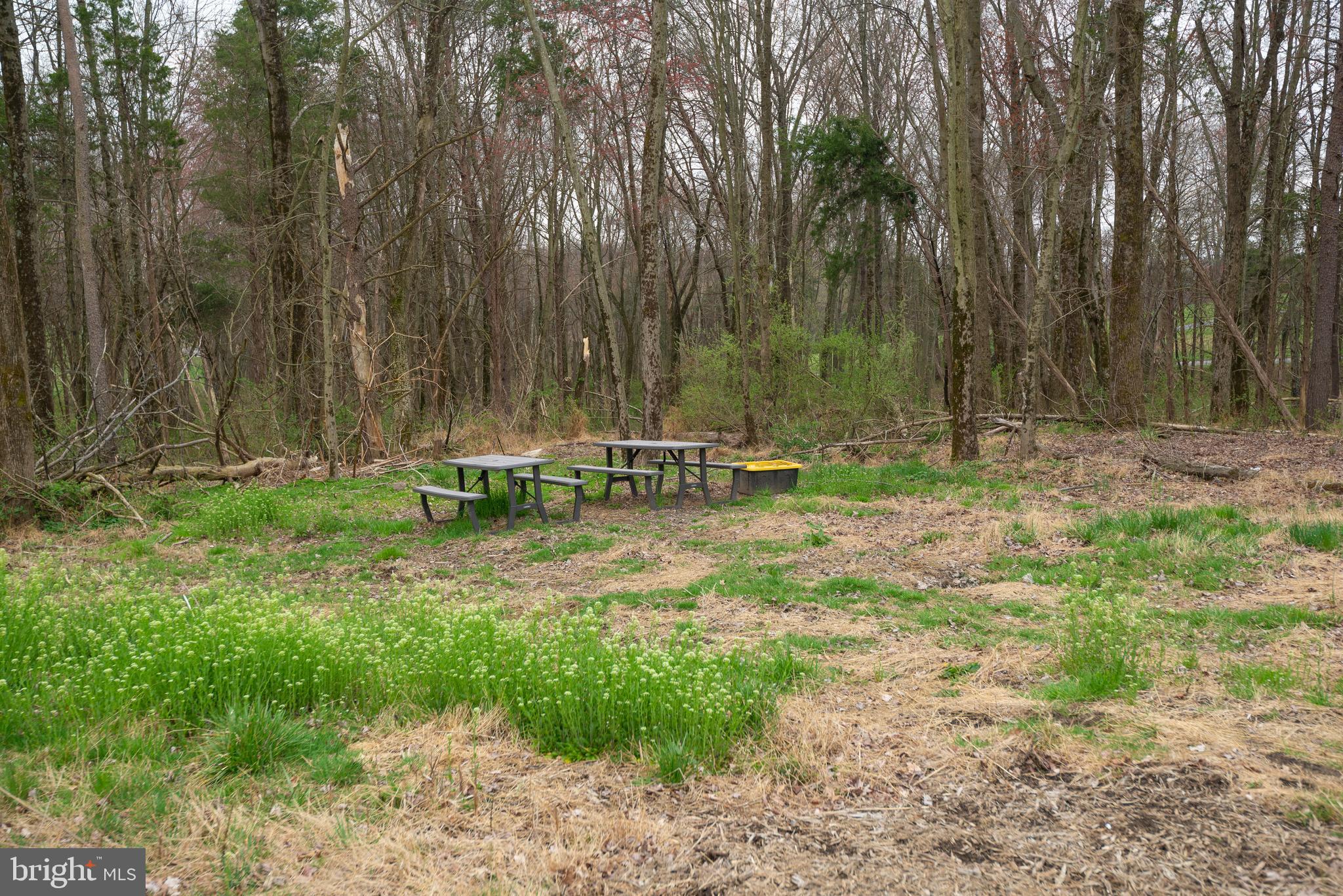 BEALLSVILLE - Farm
