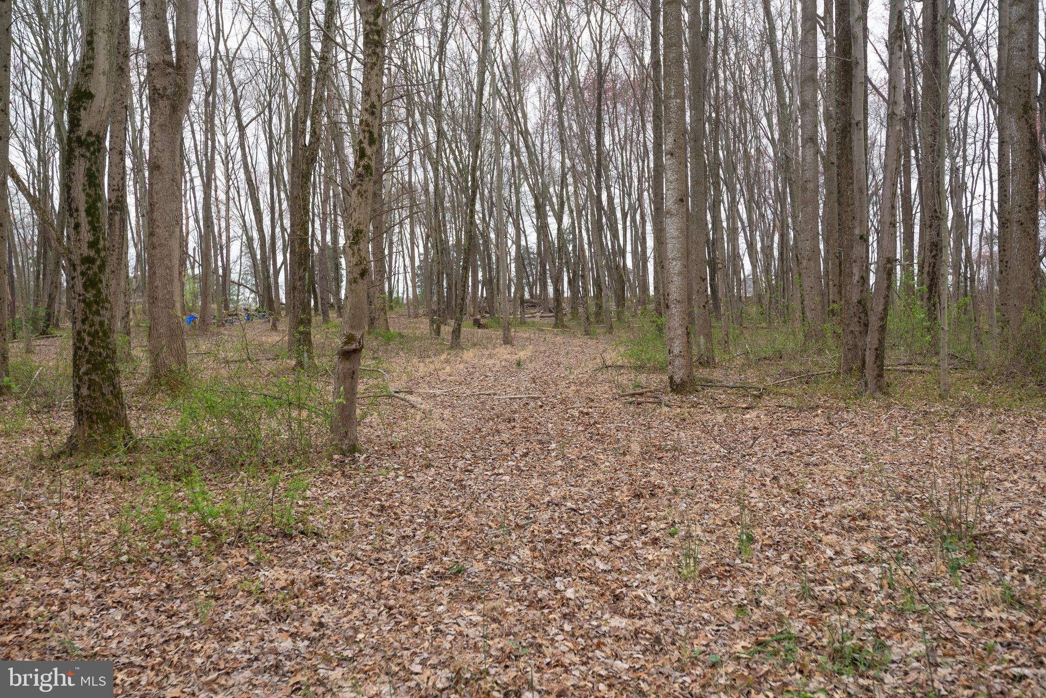 BEALLSVILLE - Farm