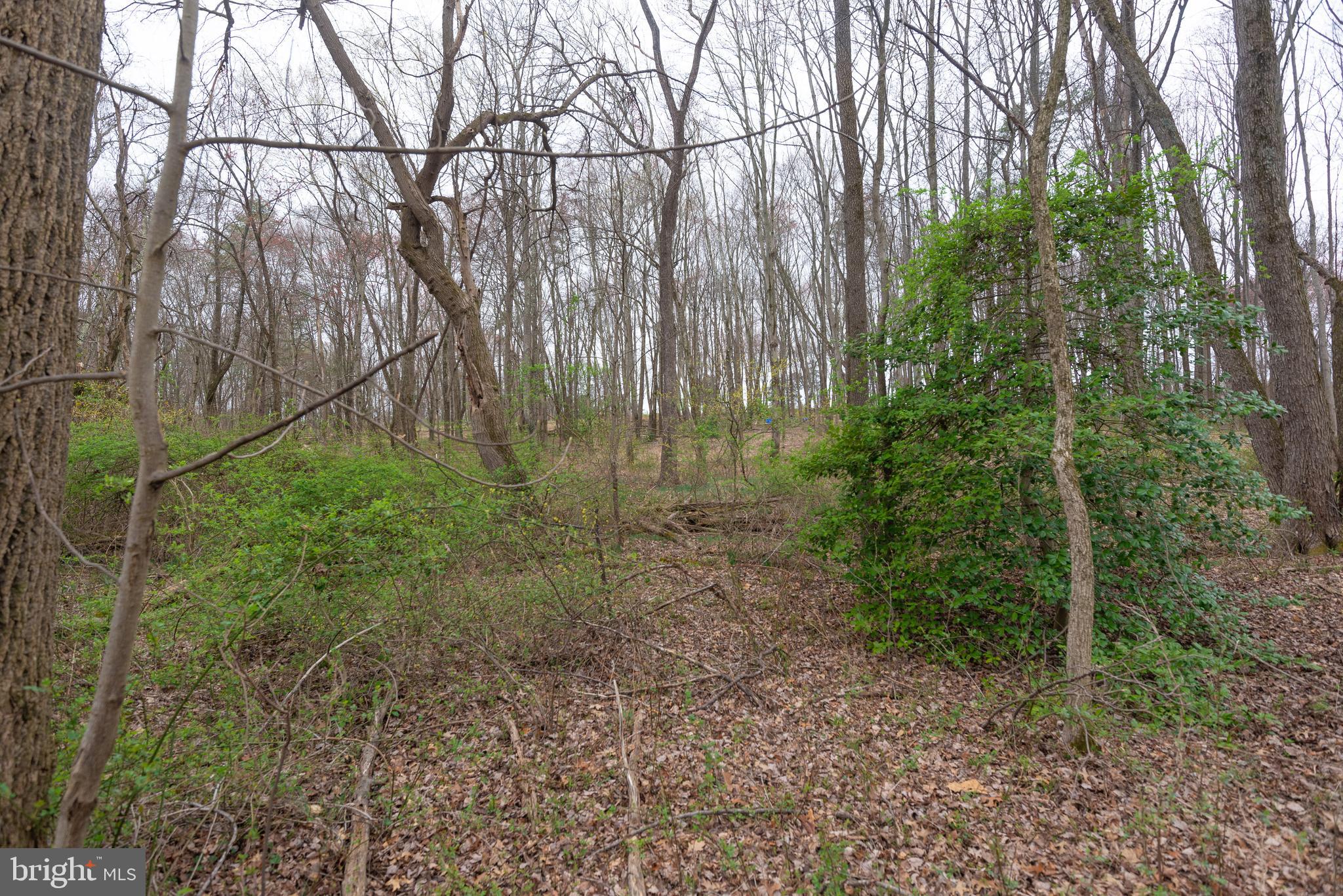 BEALLSVILLE - Farm