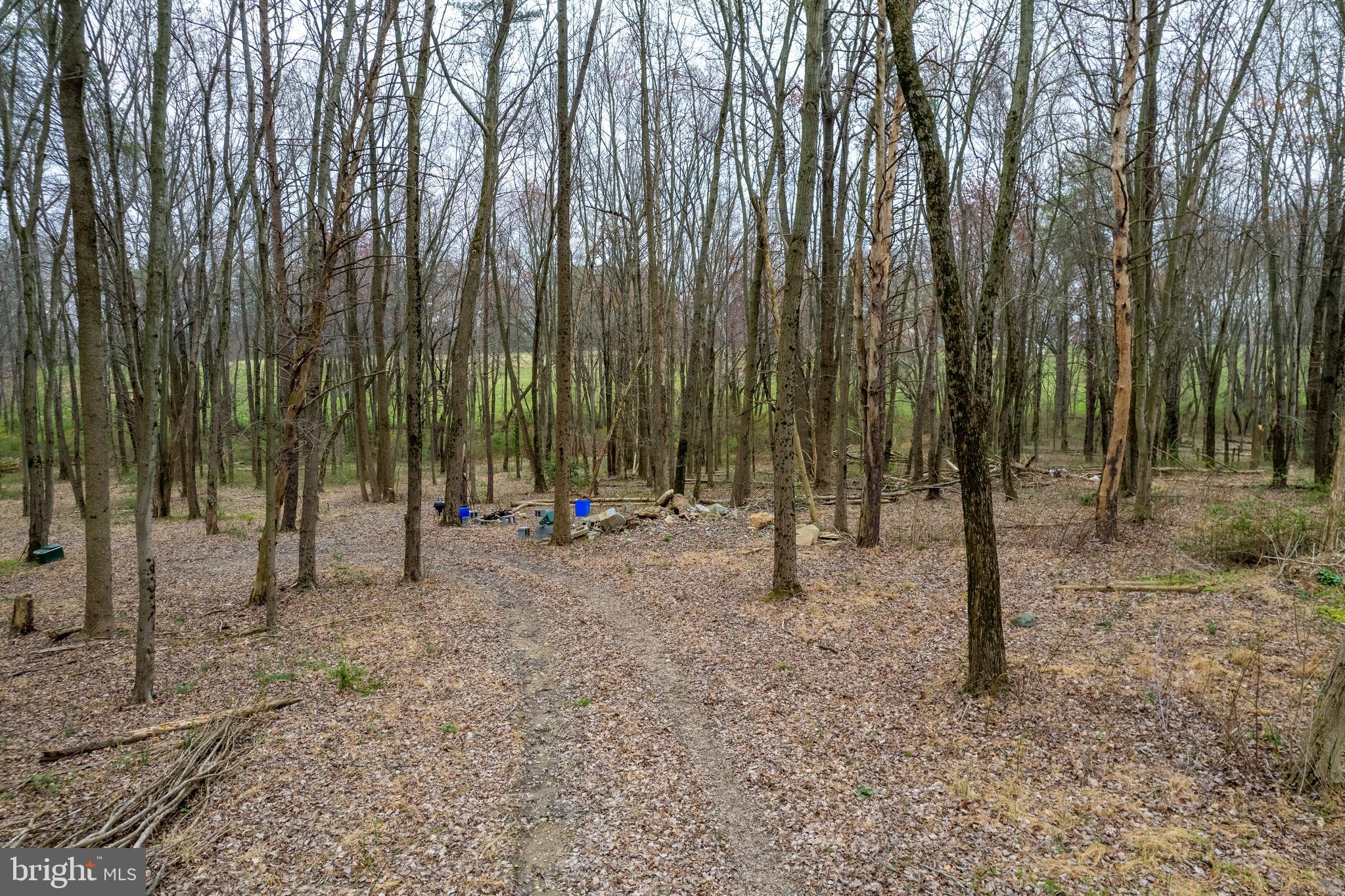 BEALLSVILLE - Farm
