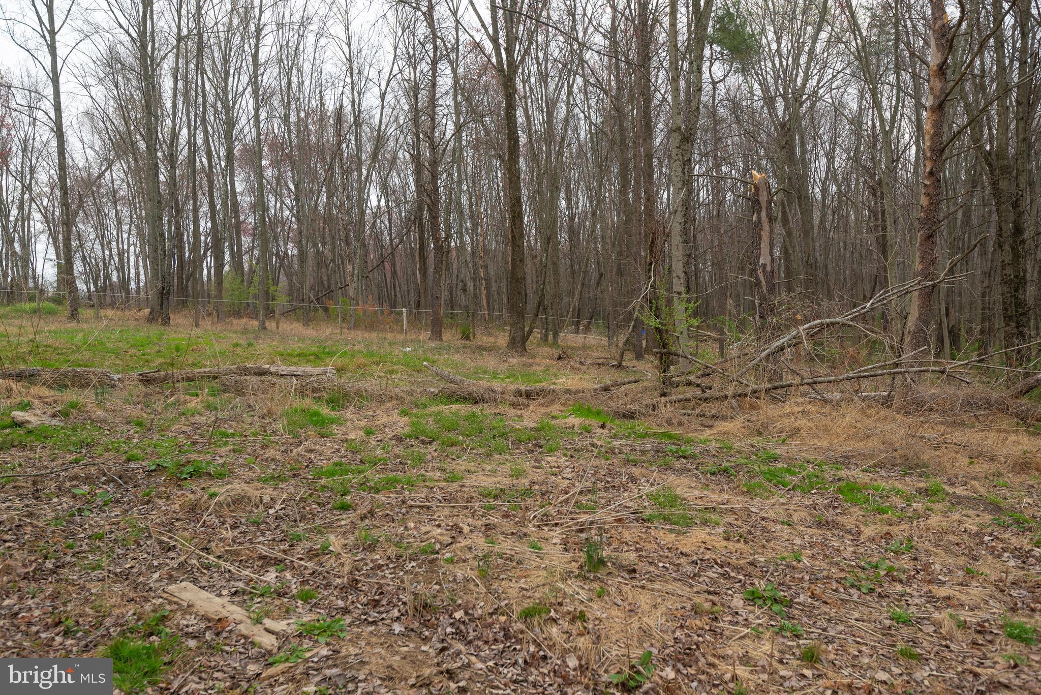BEALLSVILLE - Farm