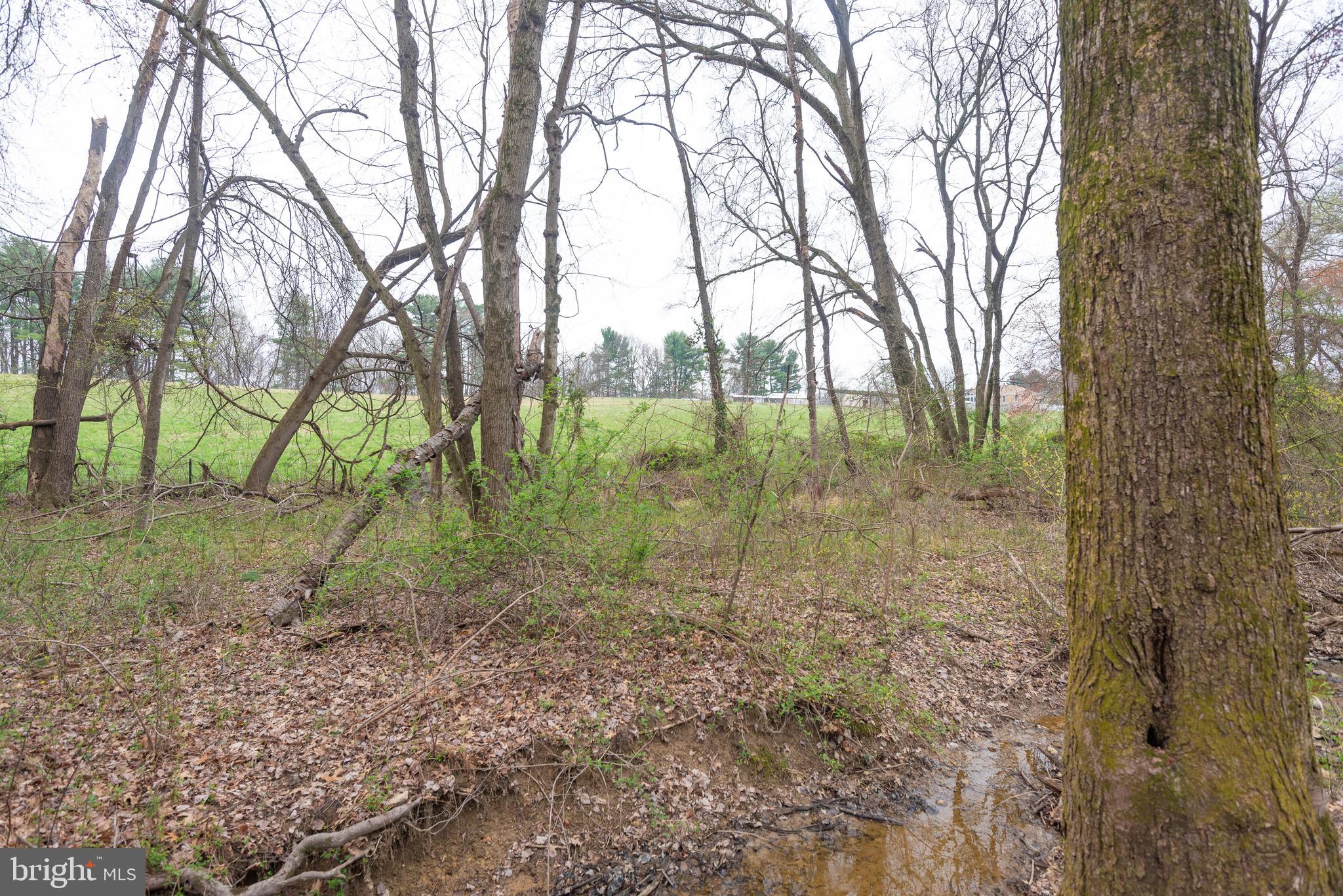 BEALLSVILLE - Farm