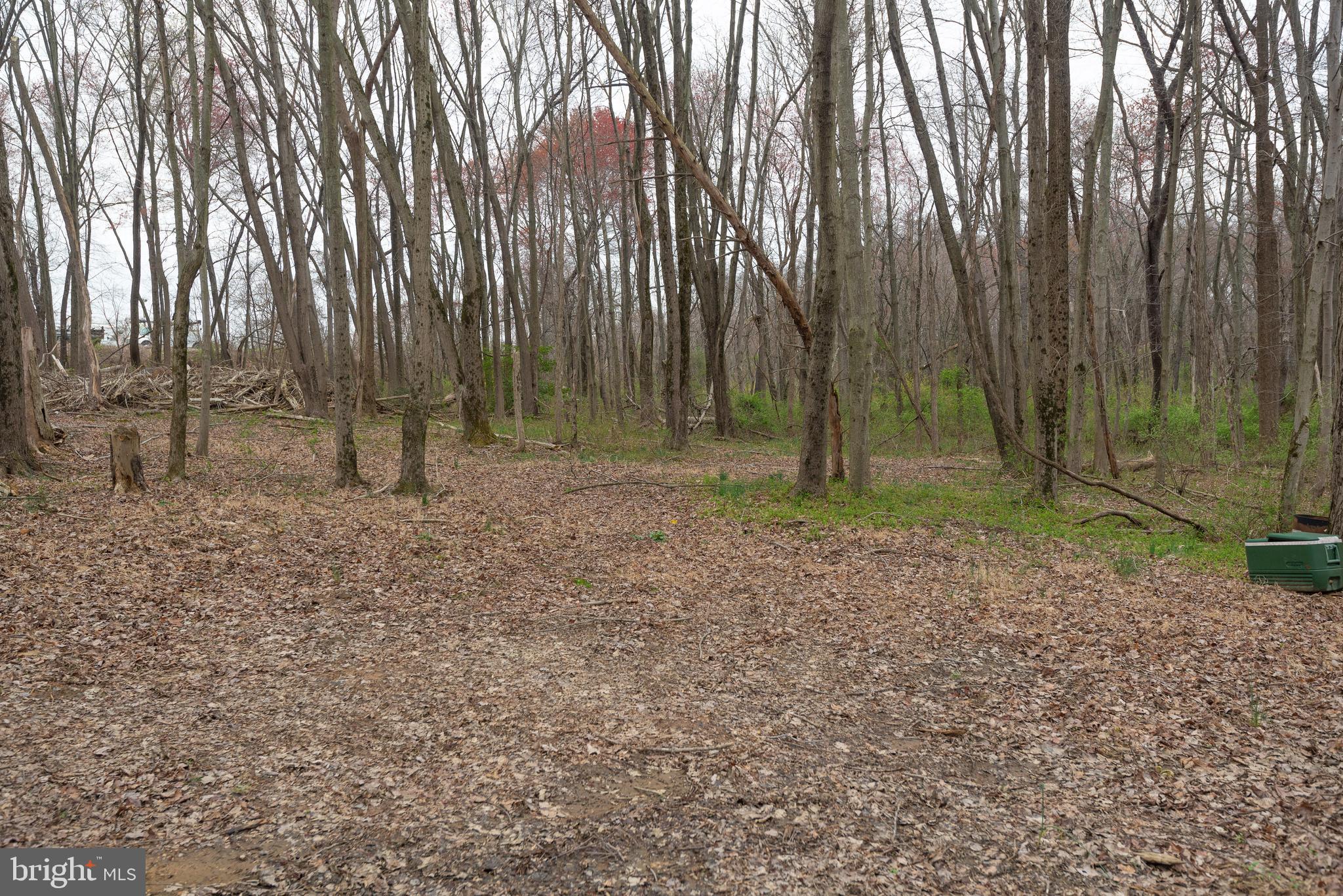 BEALLSVILLE - Farm