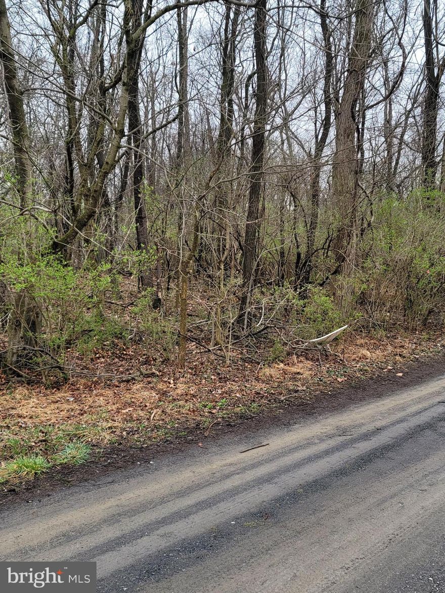 Attention Builders...... 14.67 Amazing level Raw Land, to do multiple homes or just one,  Are you looking for beautiful land to build on?   Sam Mason Road? This property is less than 3 miles from I-81 on Rt 11,  only 10 minutes from Winchester, on paved county roads.
This property does have an old house on it which had a cistern, no well or no septic. 
The property is raw land,