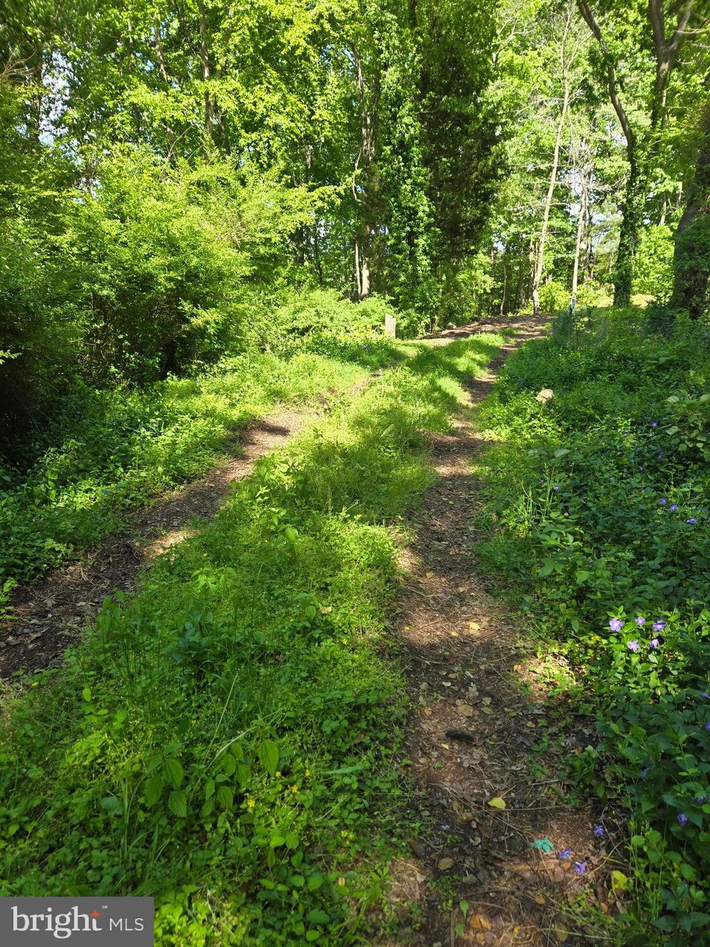 Photo of Lot 3 Seaside Lane, RIDGE, MD 20680 (MLS # MDSM2030906)
