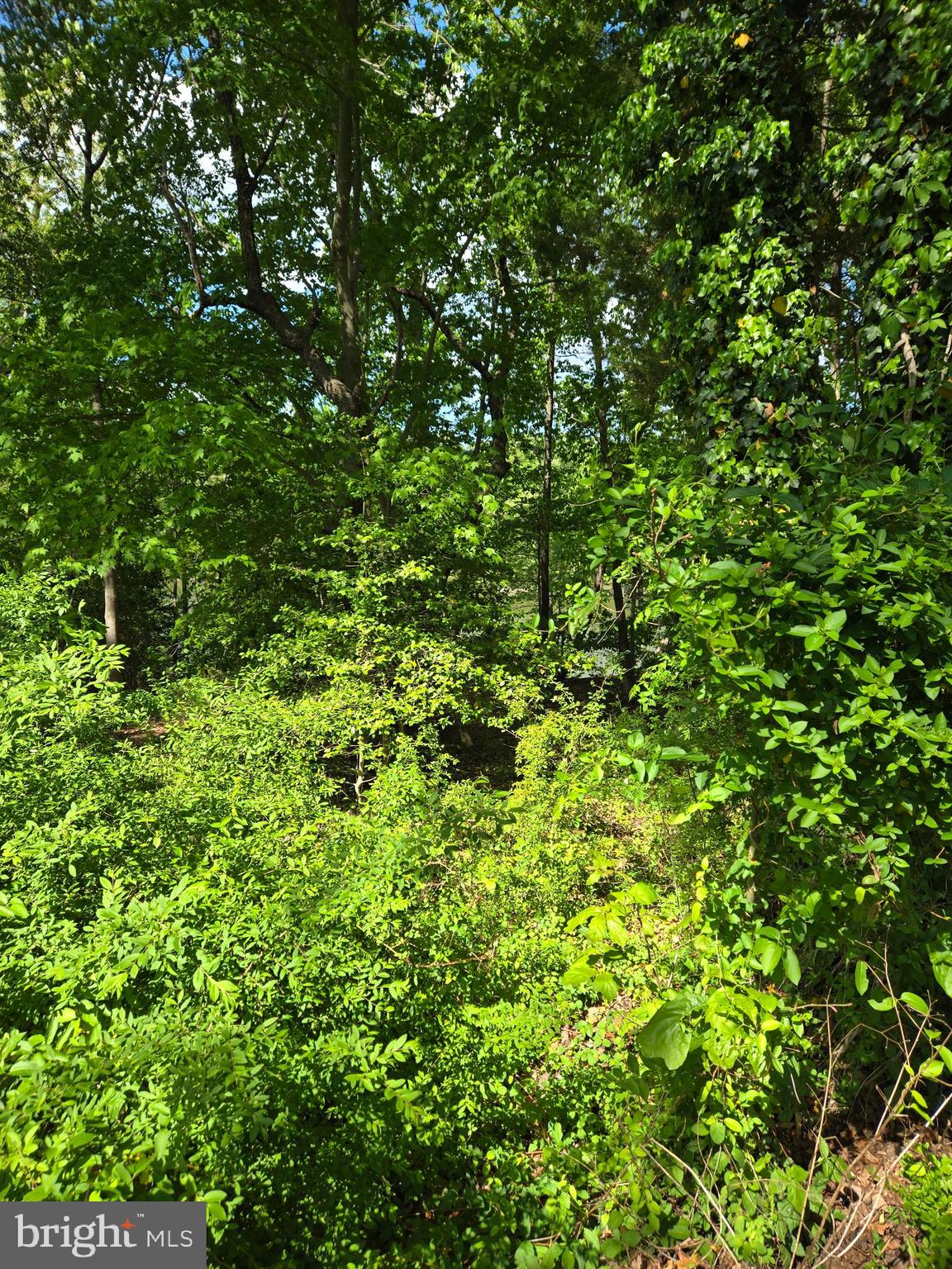 Lot 3 SEASIDE LANE