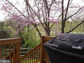 WILLOW RIDGE - Residential Lease