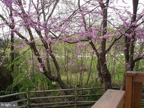 WILLOW RIDGE - Residential Lease