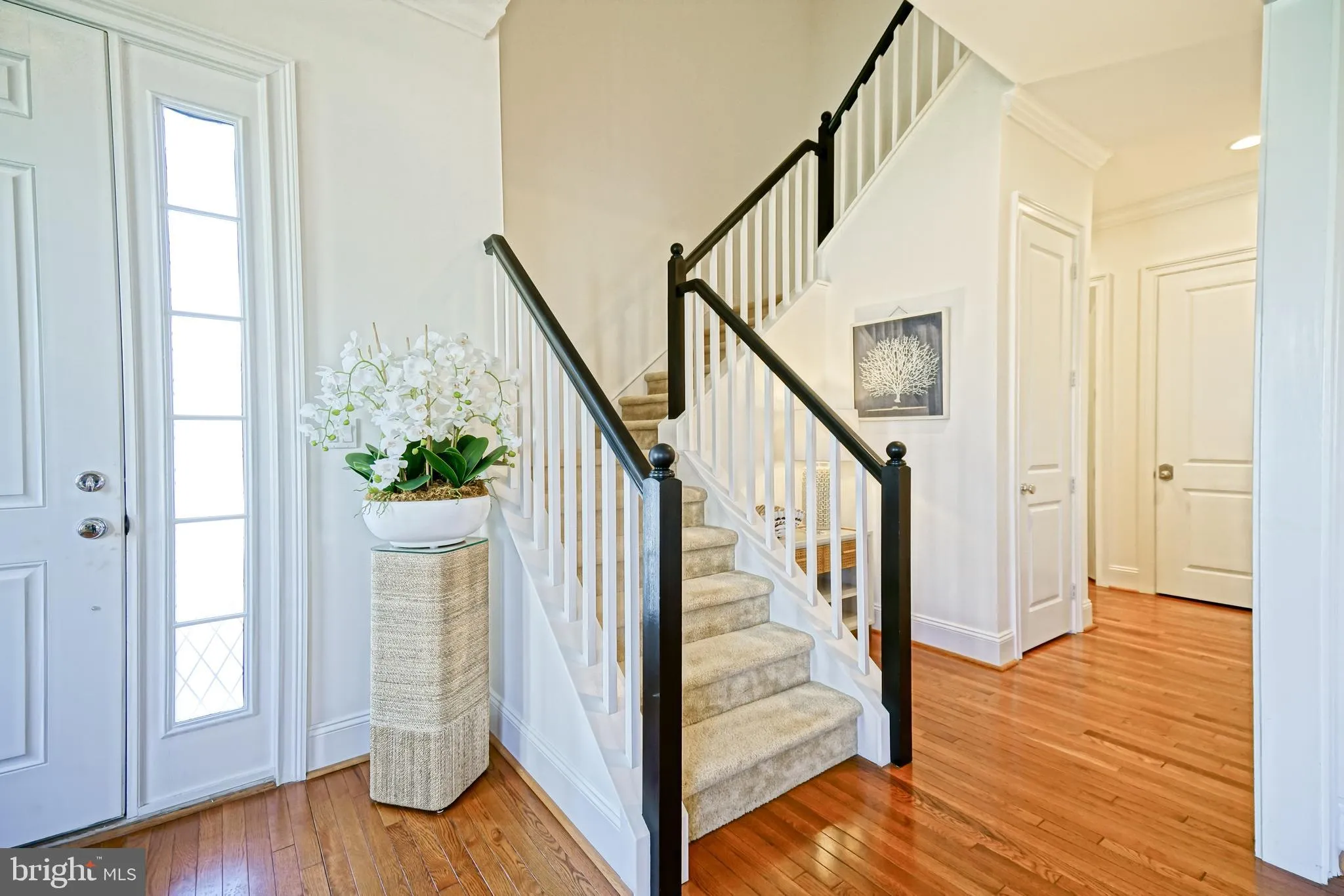 Rehoboth Beach, Delaware 19971, United States, 4 Bedrooms Bedrooms, ,4 BathroomsBathrooms,Residential,Coming Soon,96687