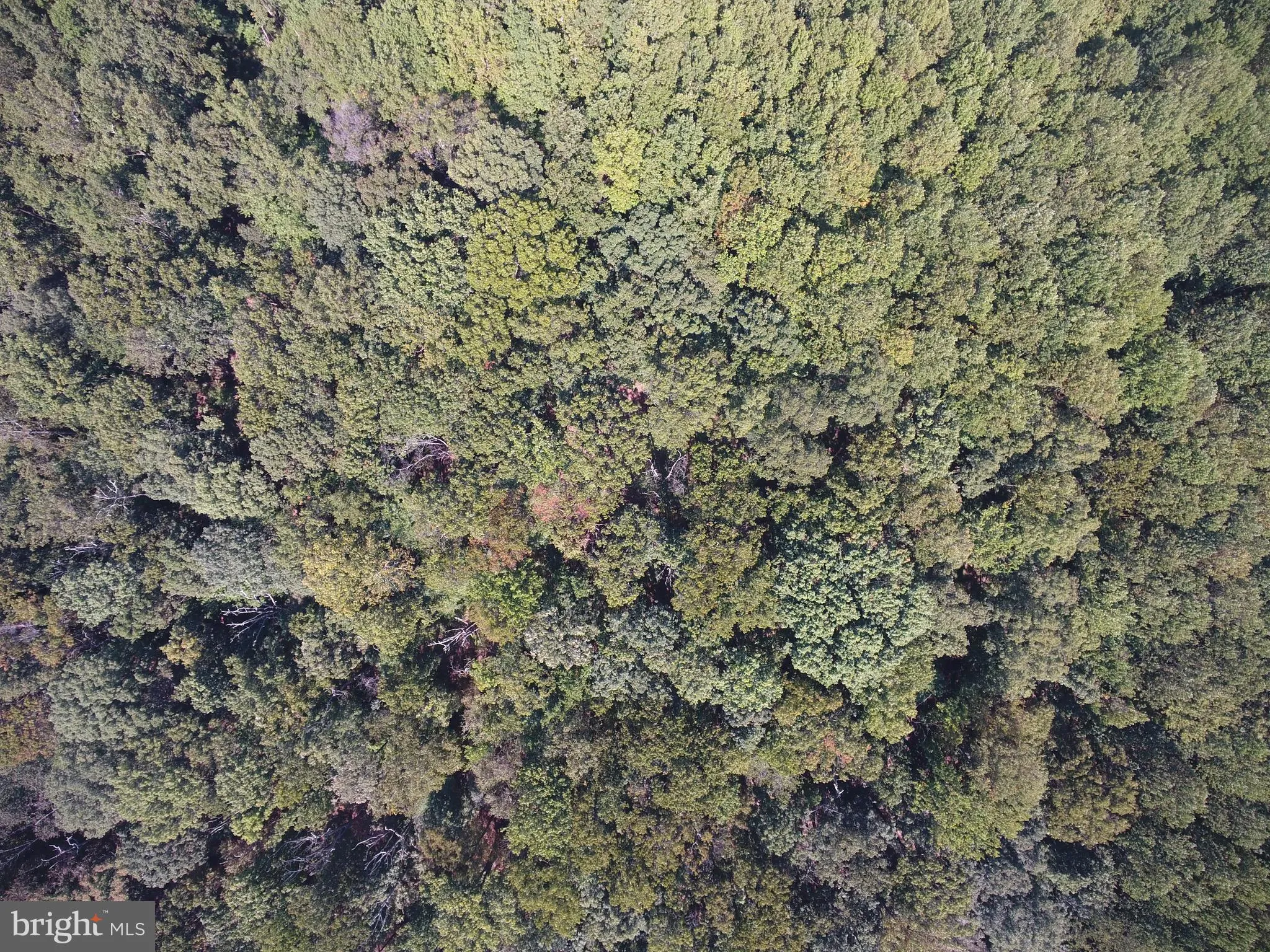 Sparks Glencoe, Maryland 21152, United States, ,Land,Active,219039