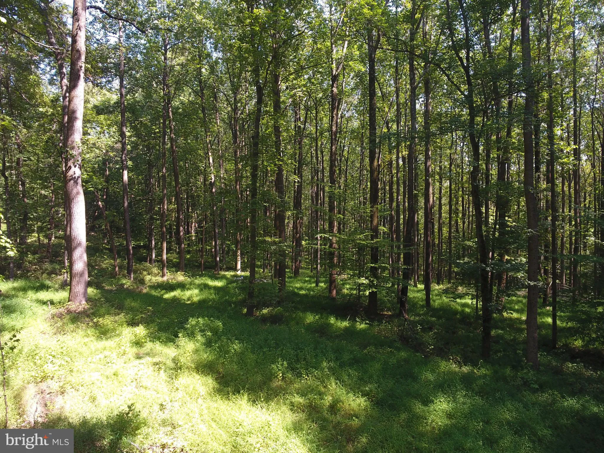 Sparks Glencoe, Maryland 21152, United States, ,Land,Active,219039