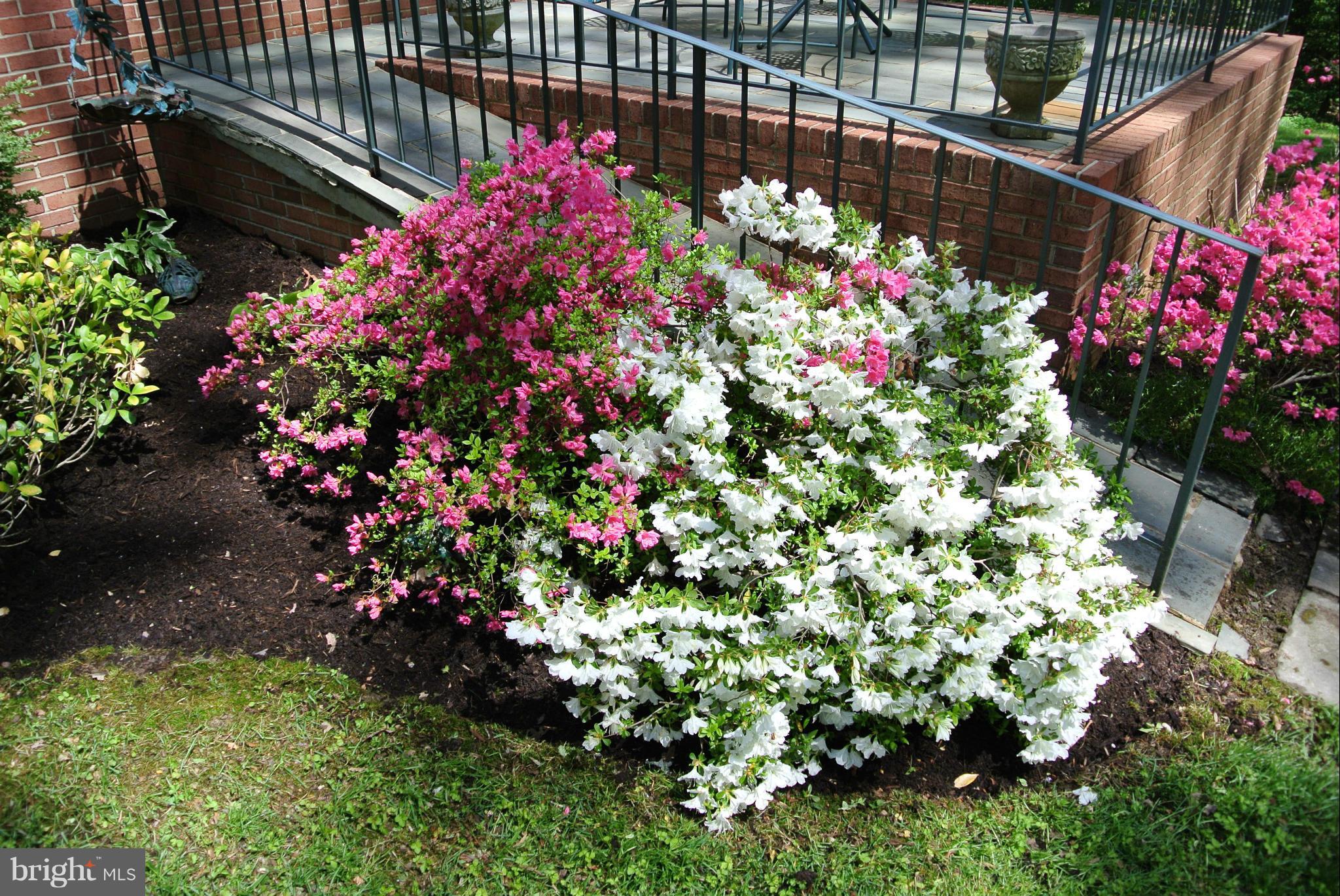 WOODHAVEN PARK SUB - Residential