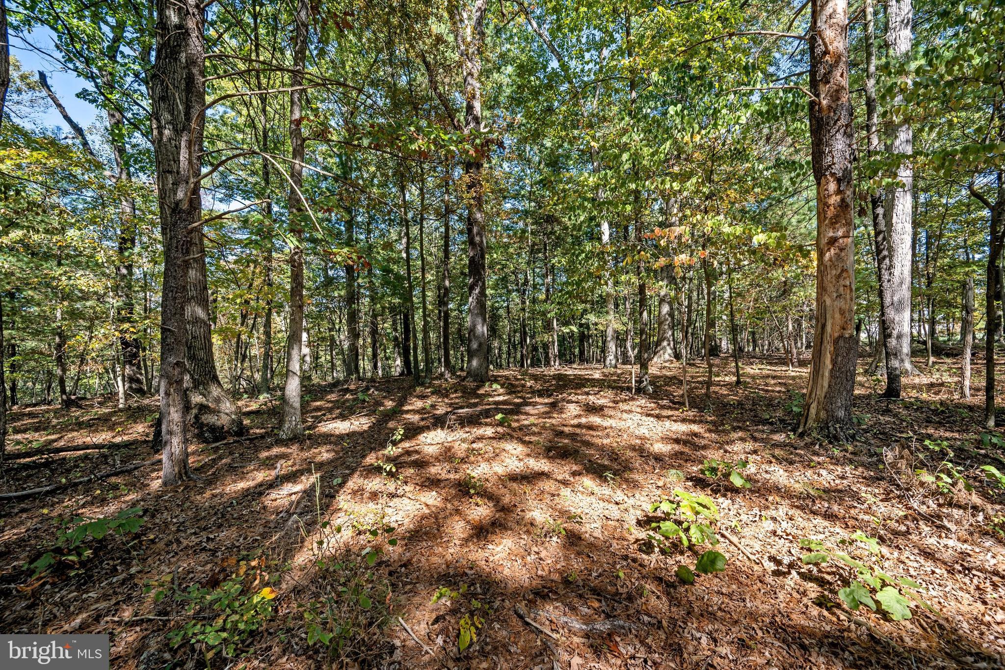 Lot 12B GRAYSTONE LANE