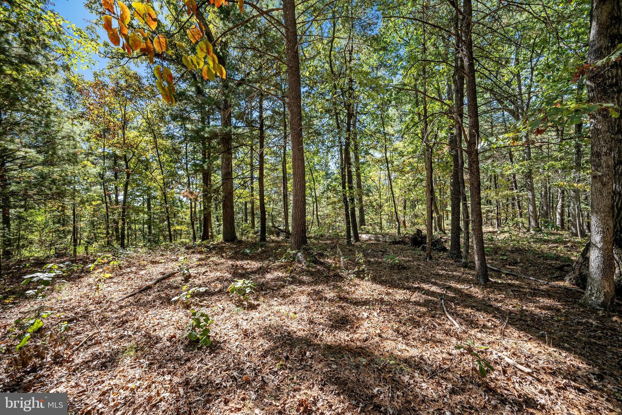 Lot 12B GRAYSTONE LANE