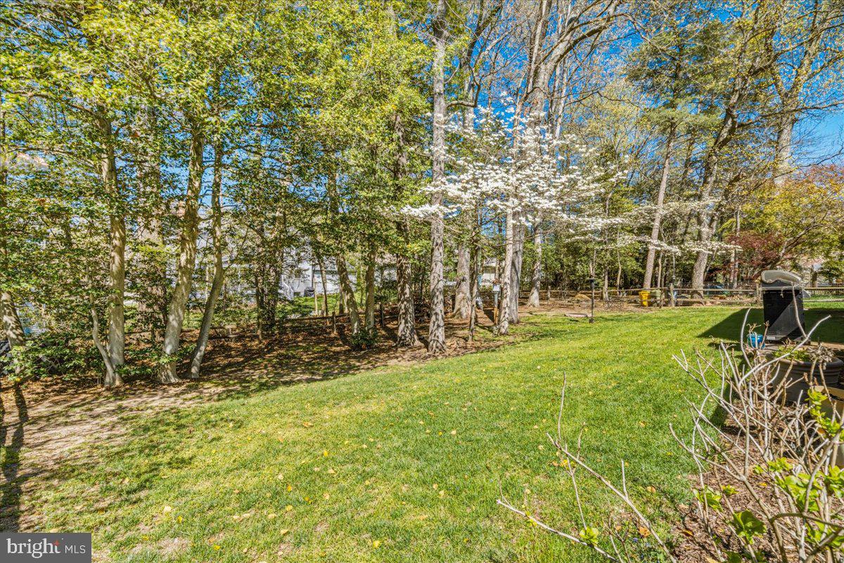 SHIPLEYS CHOICE - Residential