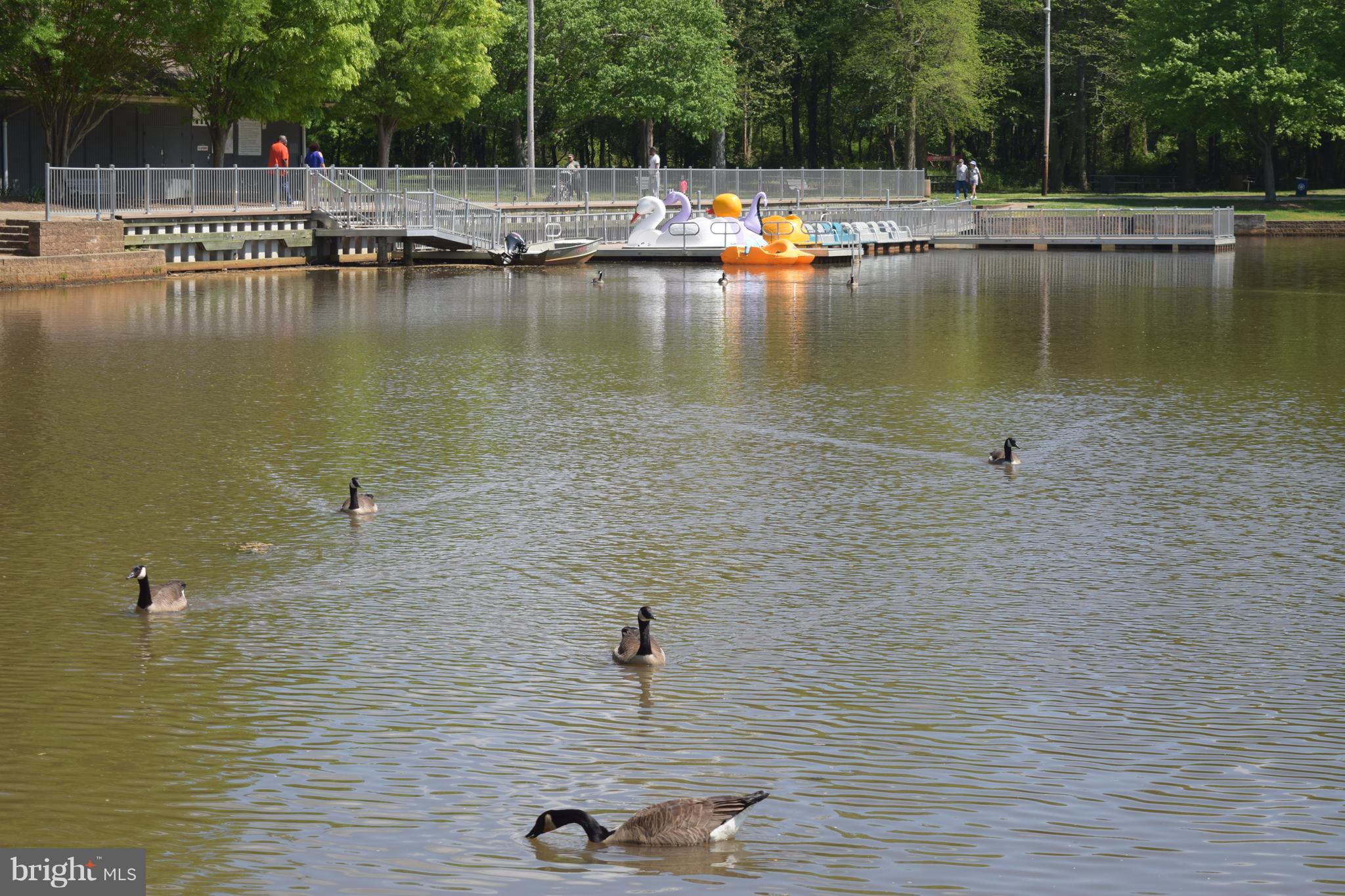 ENFIELD CHASE PLAT TWO - Residential Lease