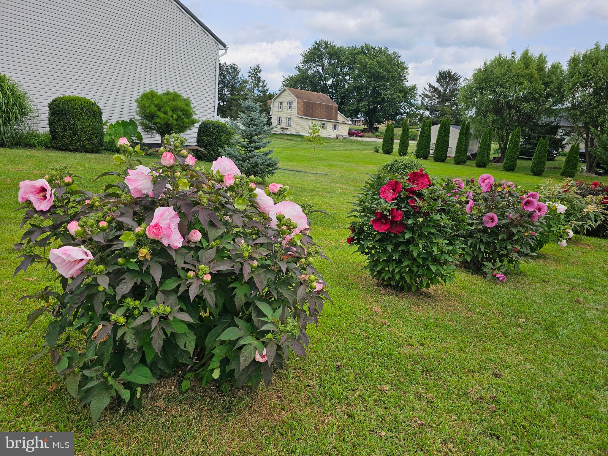 ABBOTTSTOWN - Residential