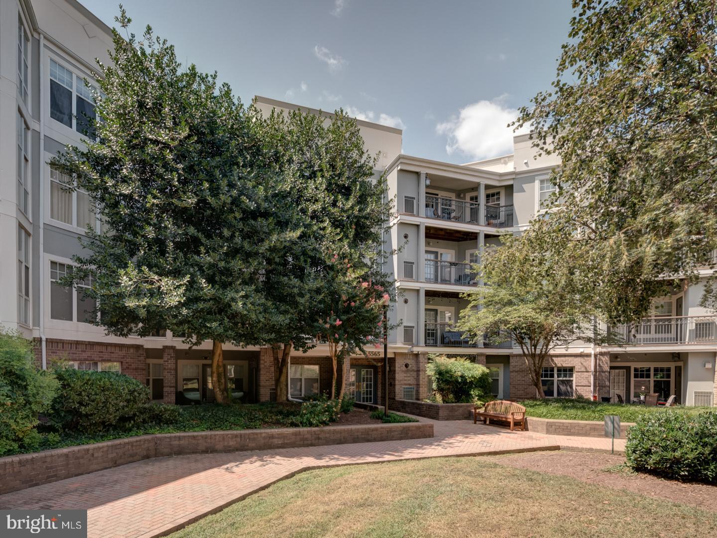 5565 SEMINARY ROAD 214