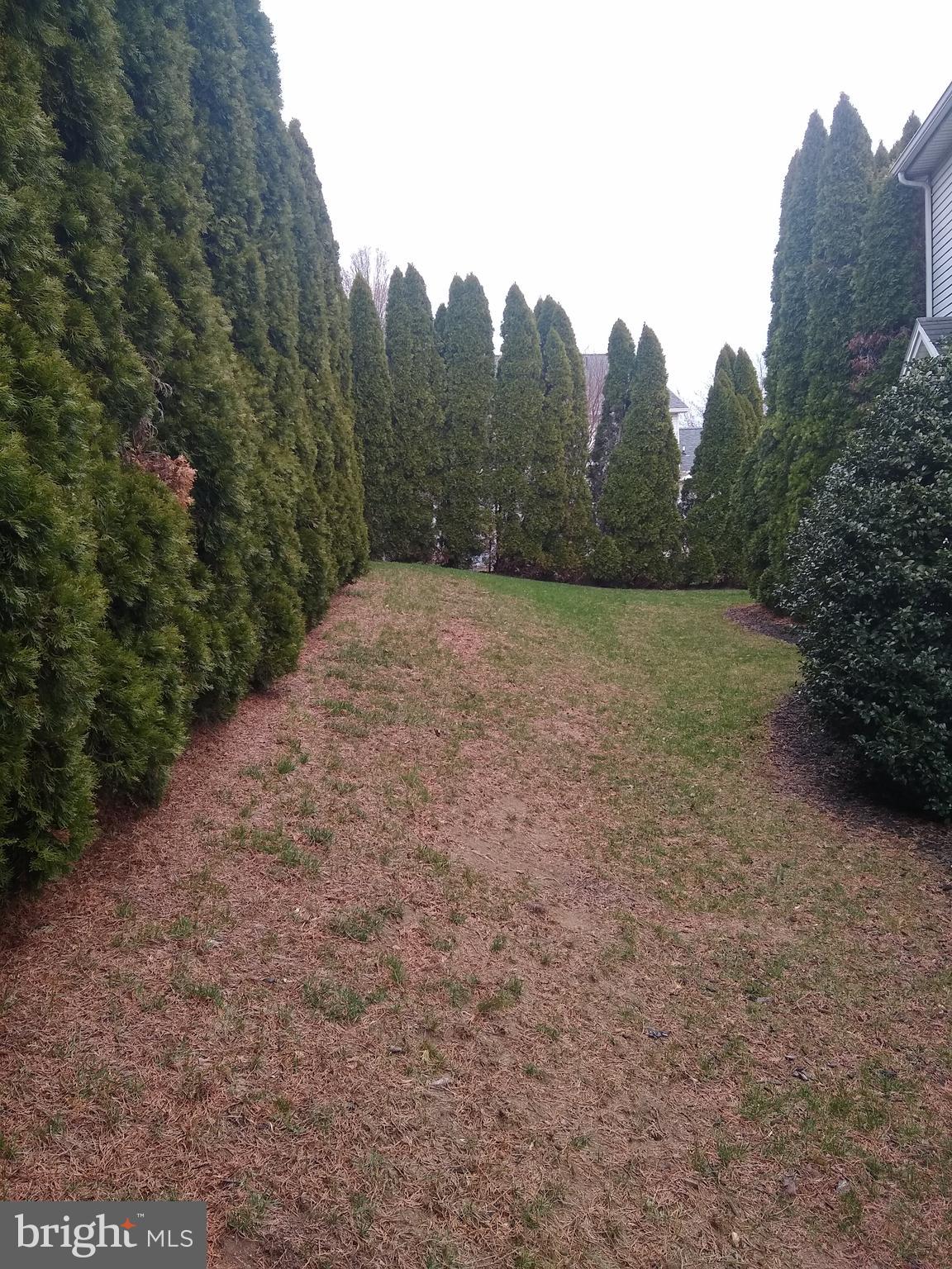 BEACON HILL HEIGHTS - Residential