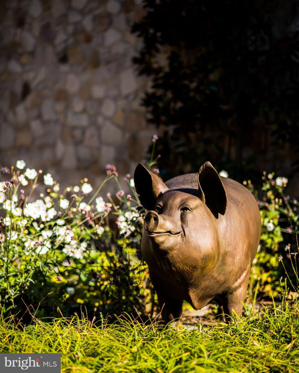 CHADDS FORD - Residential