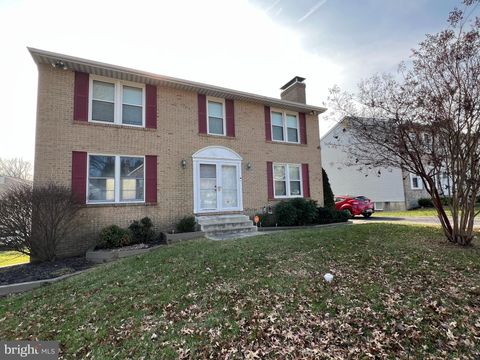 213 BERRY VINE DRIVE OWINGS MILLS MD 21117