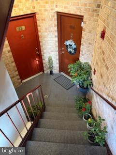 38 JUMPERS CIRCLE 253