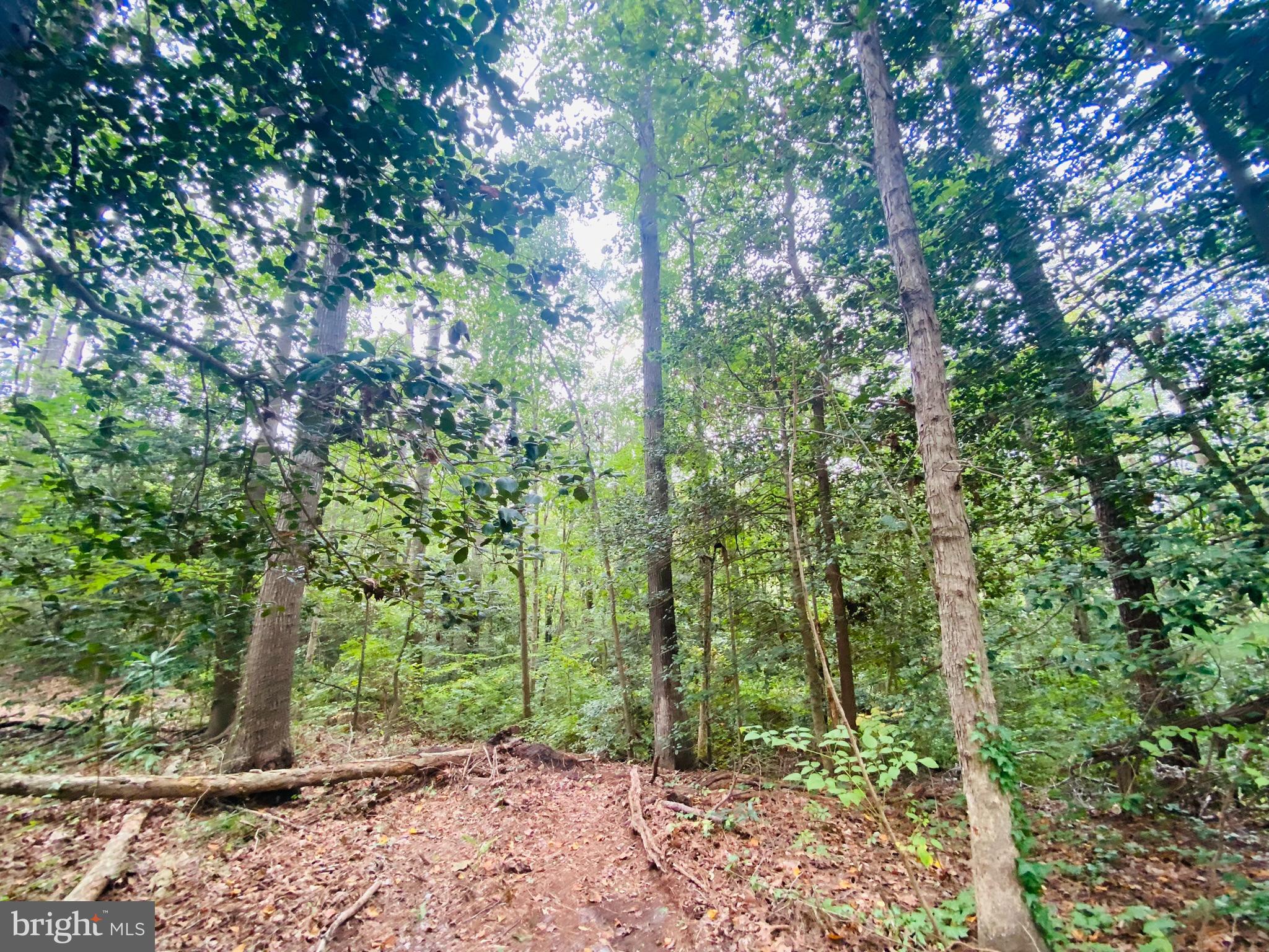 MAGNOLIA TERRACE - Residential