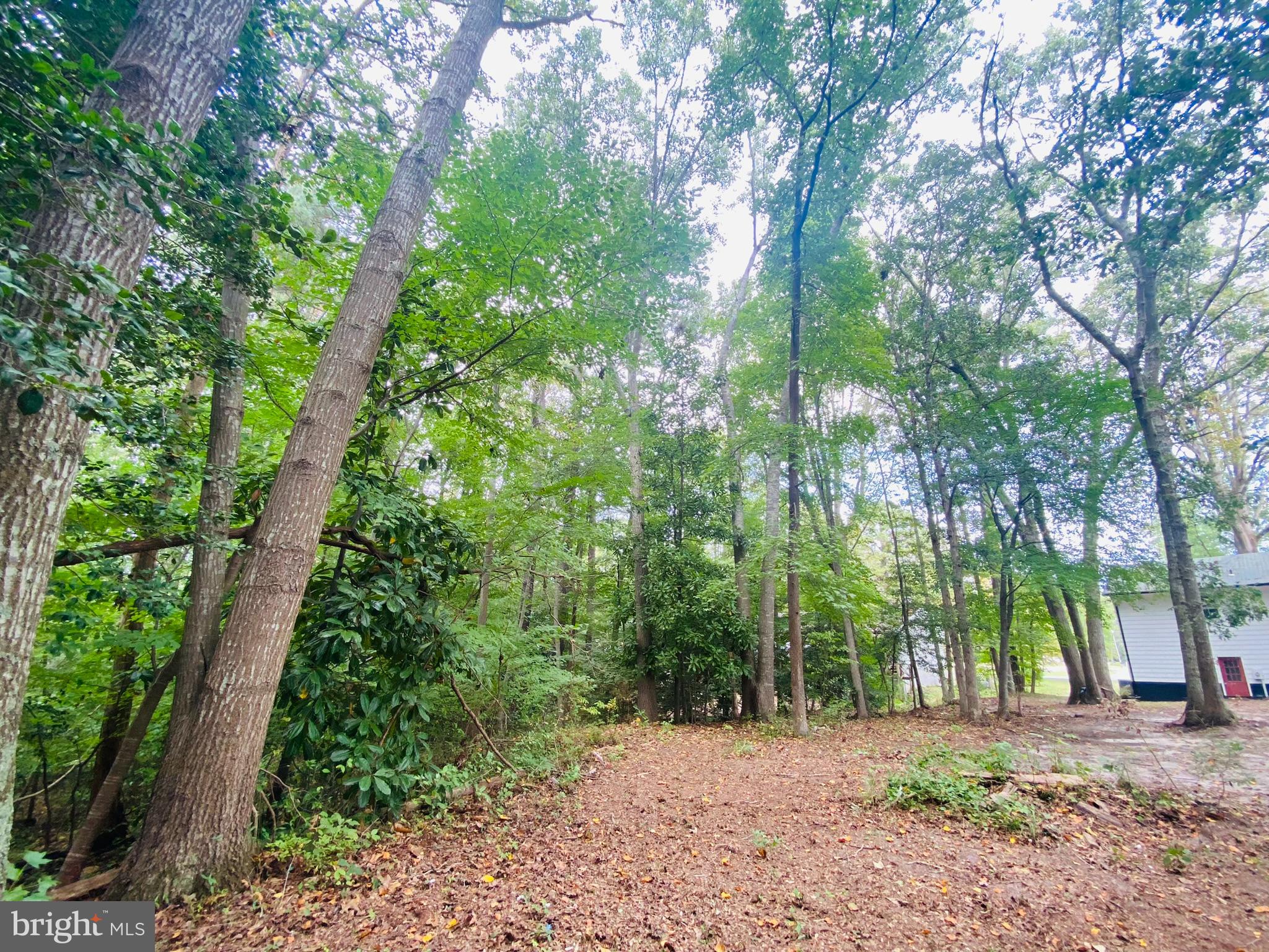 MAGNOLIA TERRACE - Residential