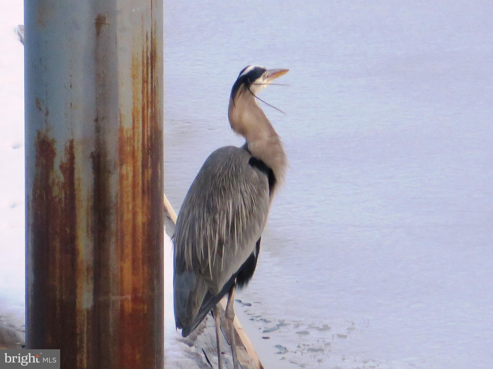 CANNONGATE - Residential Lease