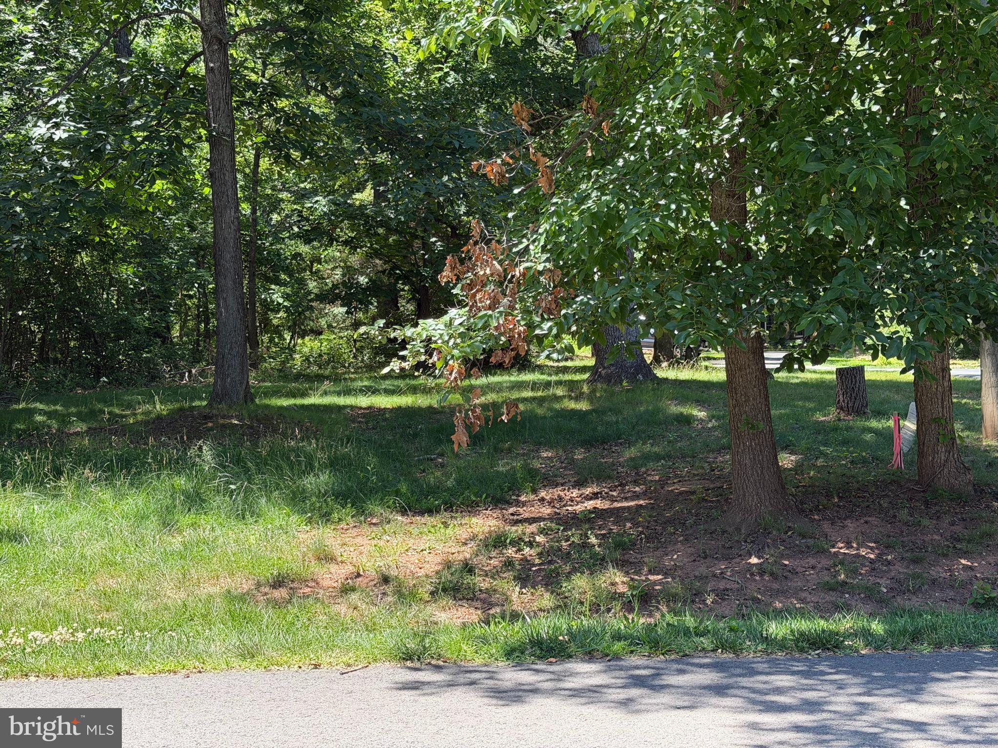 32 CEDAR DRIVE
