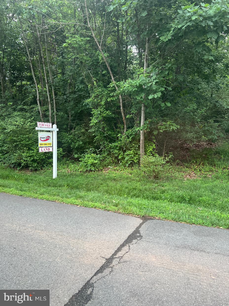 32 CEDAR DRIVE