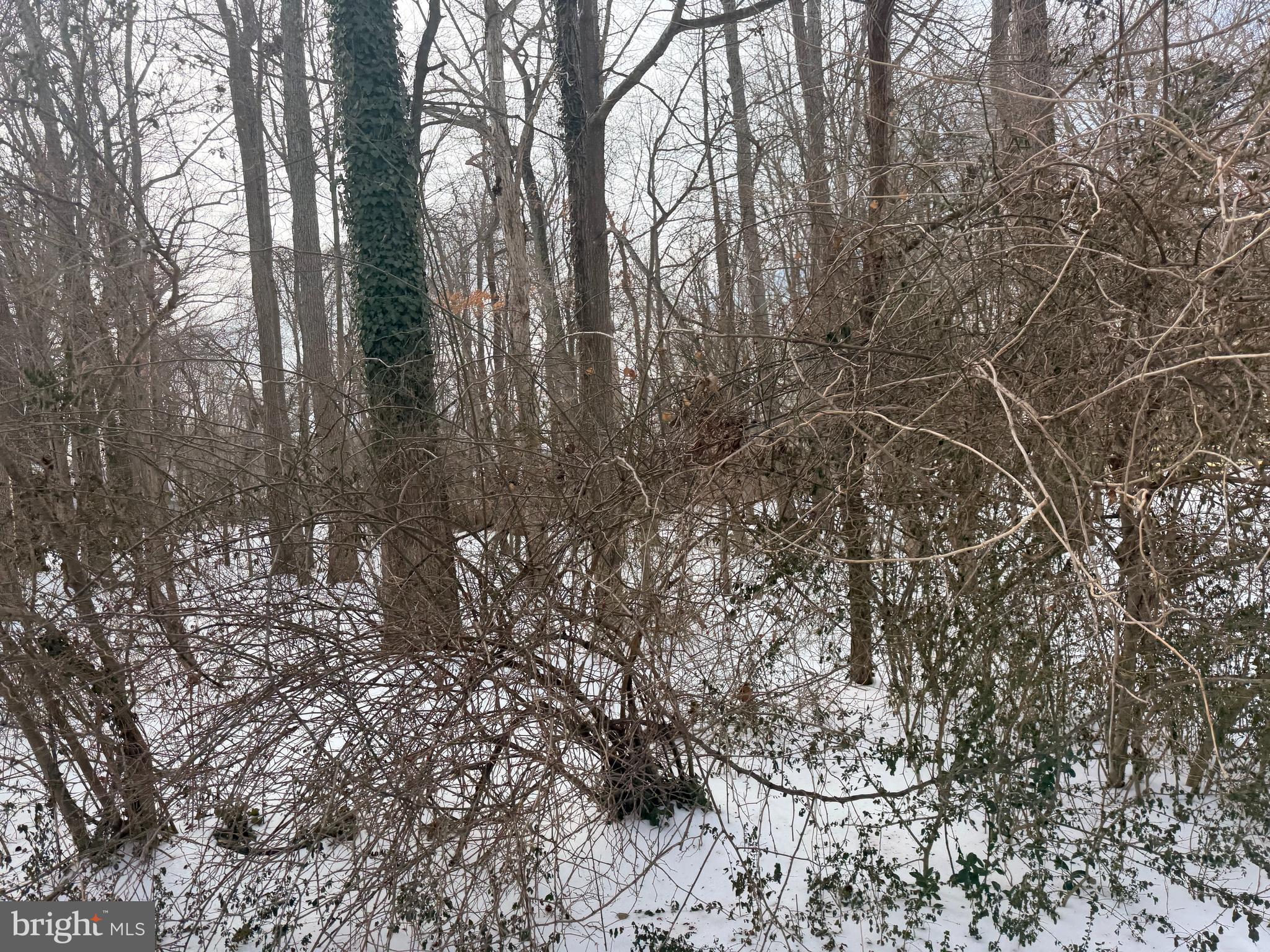 OYSTER HARBOR - Land