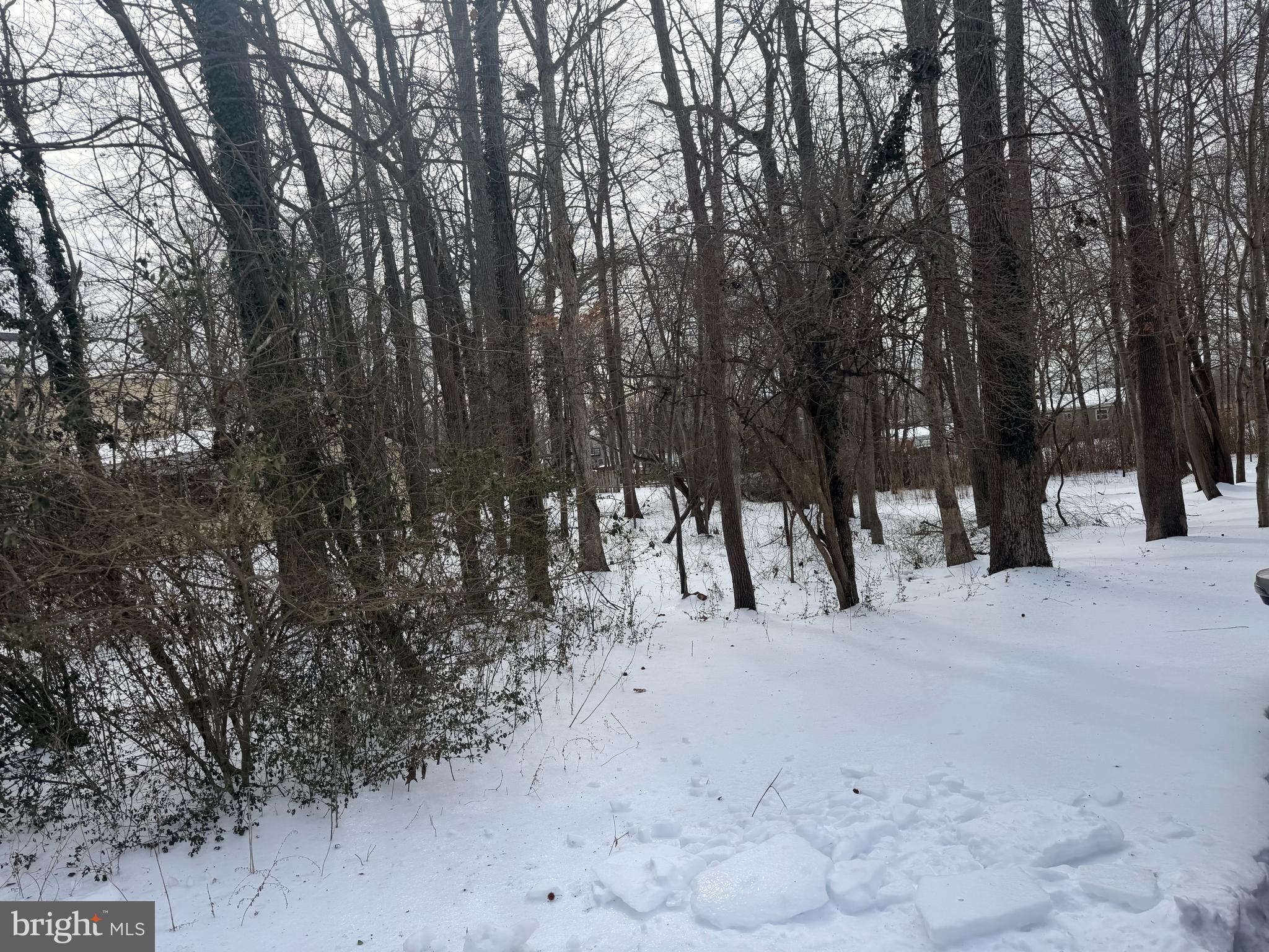 OYSTER HARBOR - Land