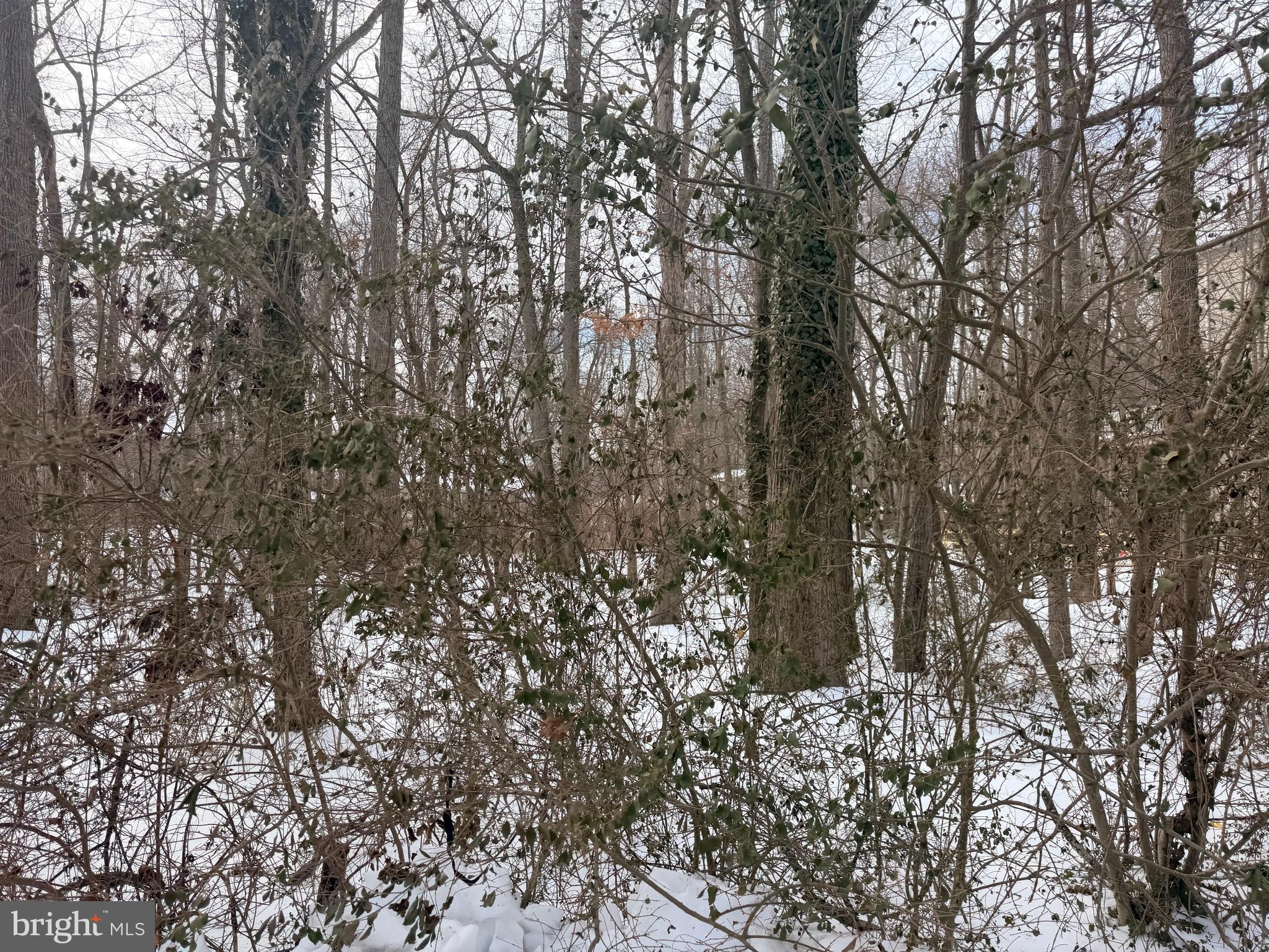 OYSTER HARBOR - Land