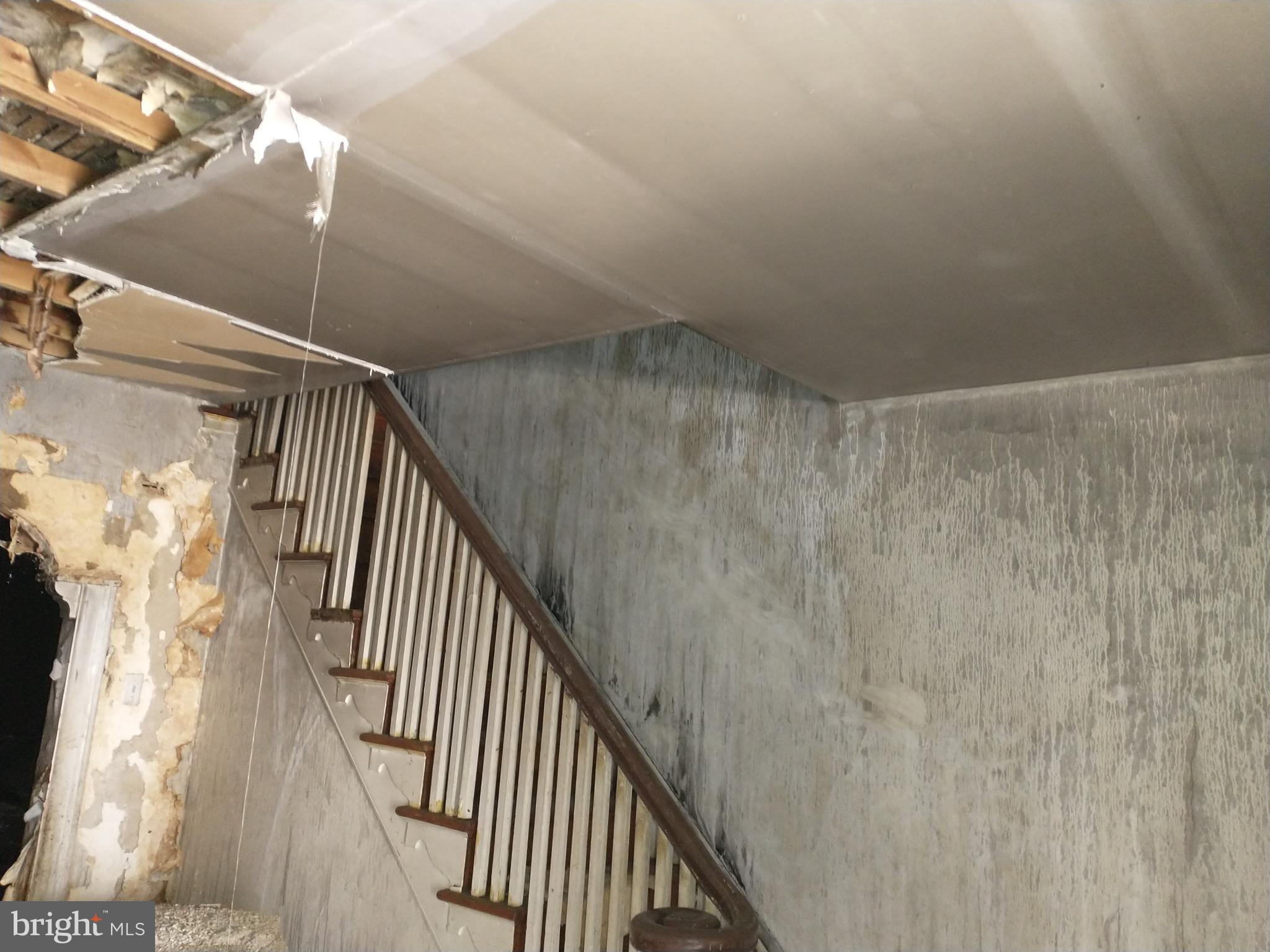 WEST OAK LANE - Residential